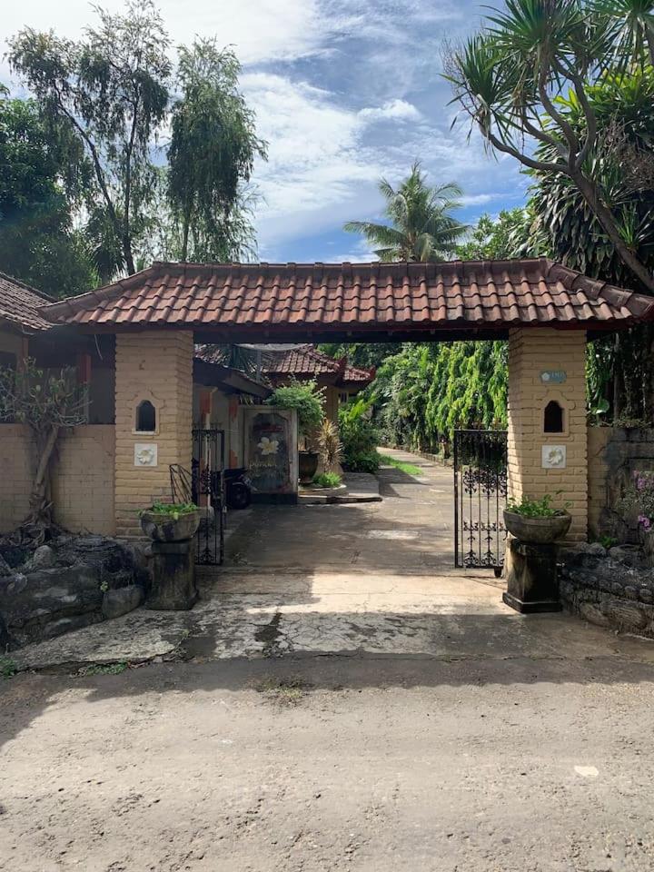 One-Bedroom Villa photo 2
