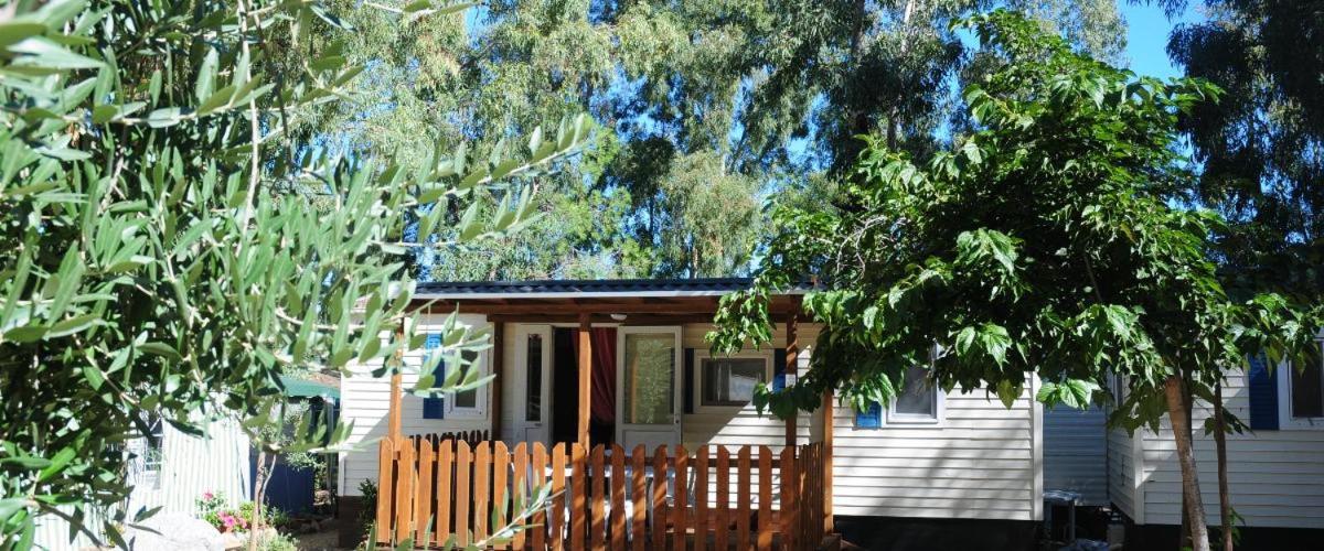Mobile Home photo 2