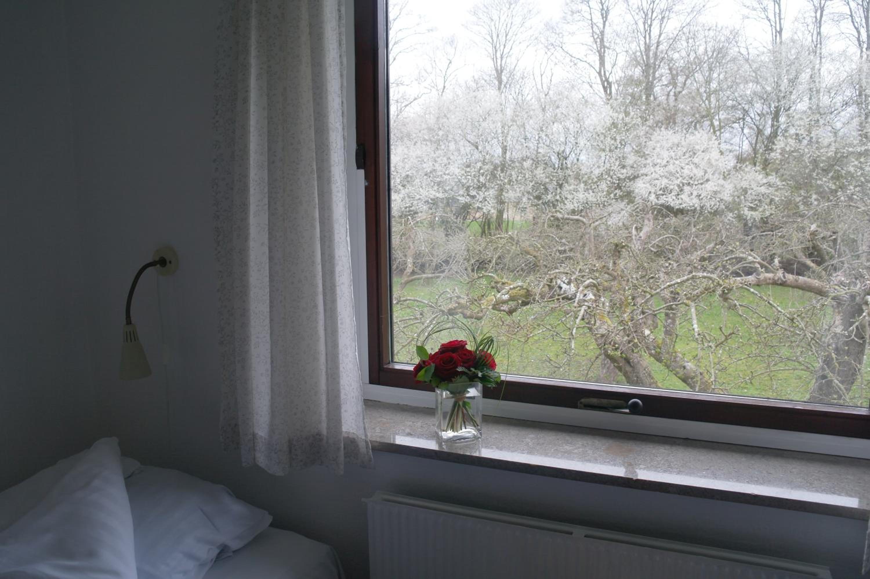 Twin Room - Photo 5