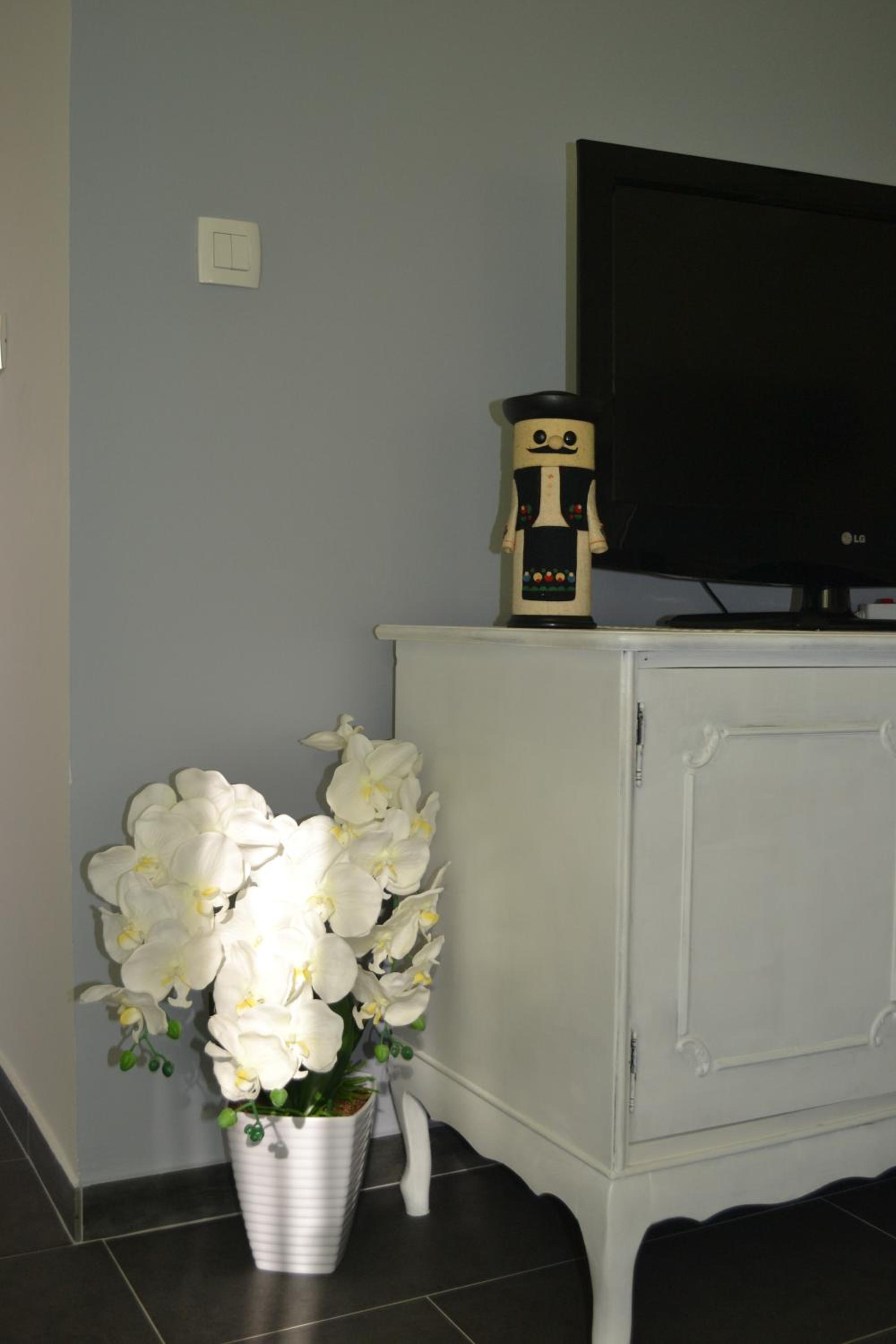 Apartment with Terrace photo 1