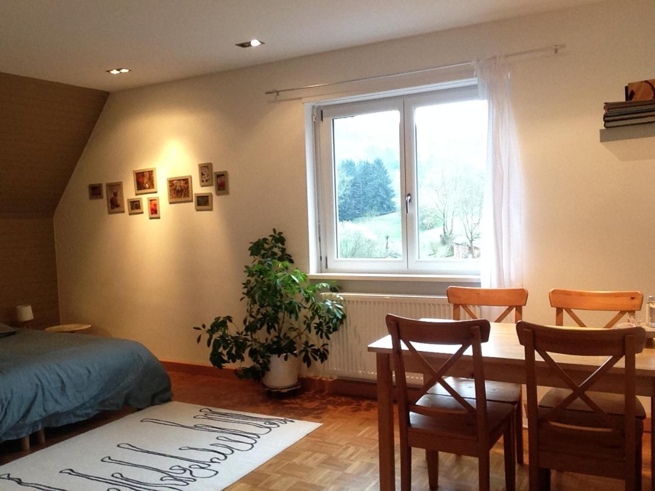Studio with Mountain View photo 1