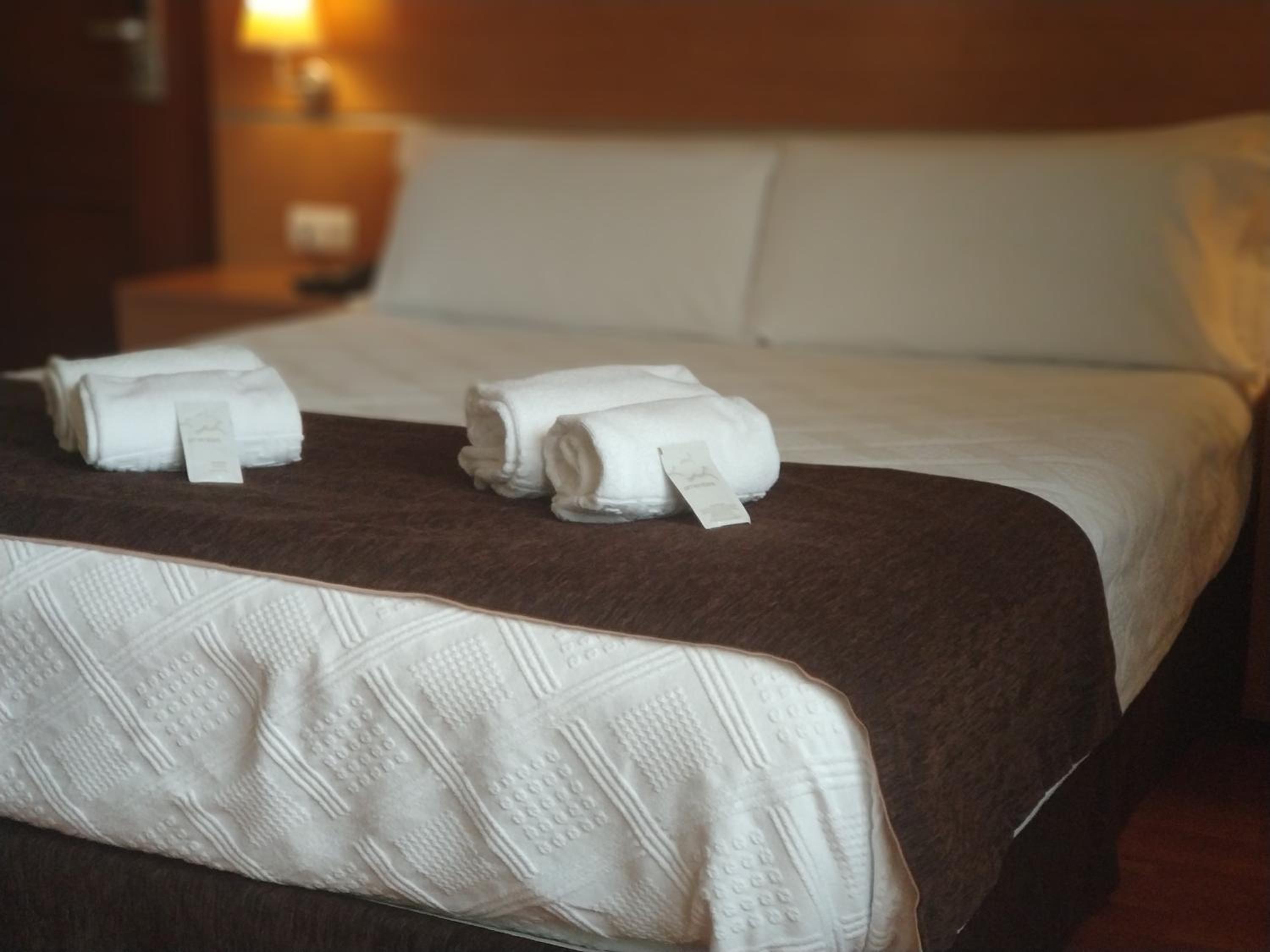 Double or Twin Room photo 1