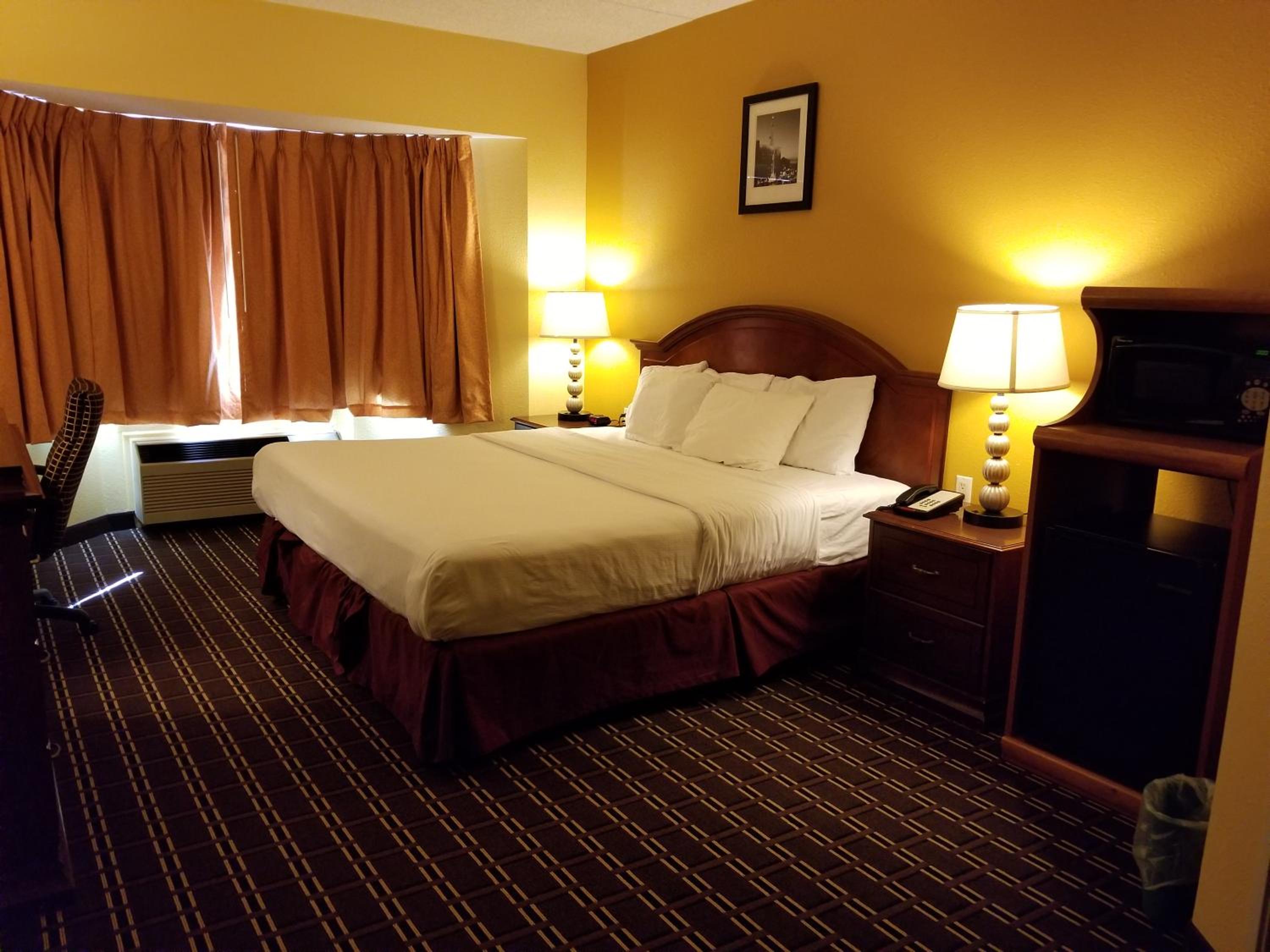 Single Room photo 2