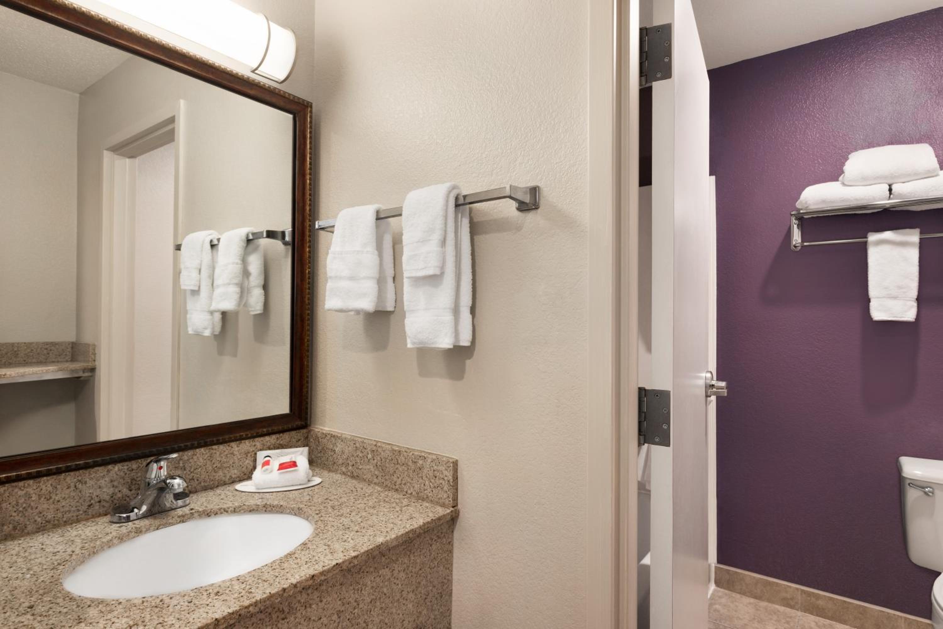 One-Bedroom King Suite - Non-Smoking photo 3