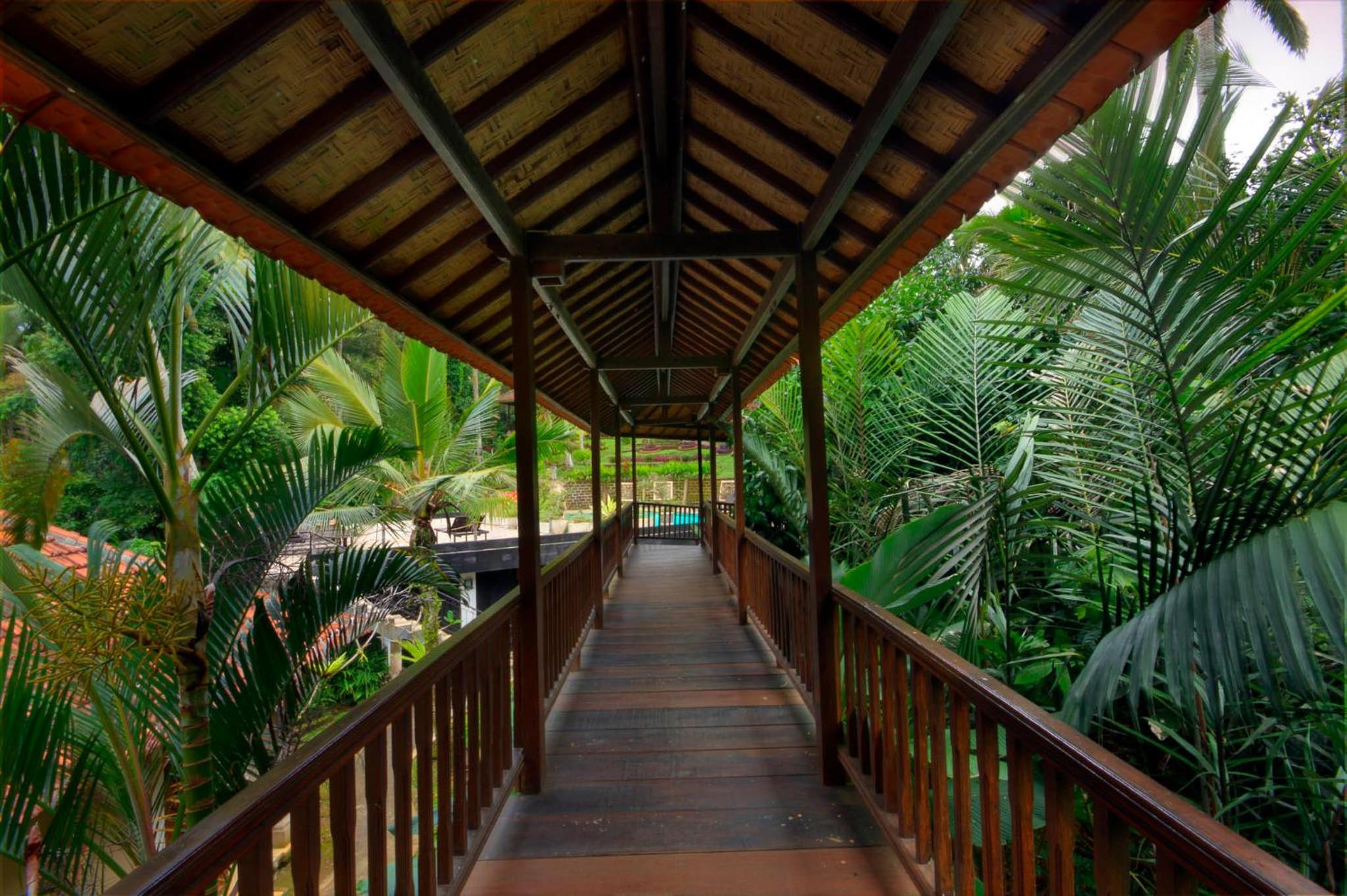 Deluxe Suite with Rice Fields View photo 3