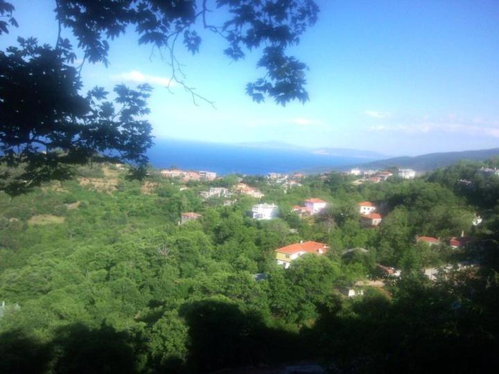 Double Room with View photo 3