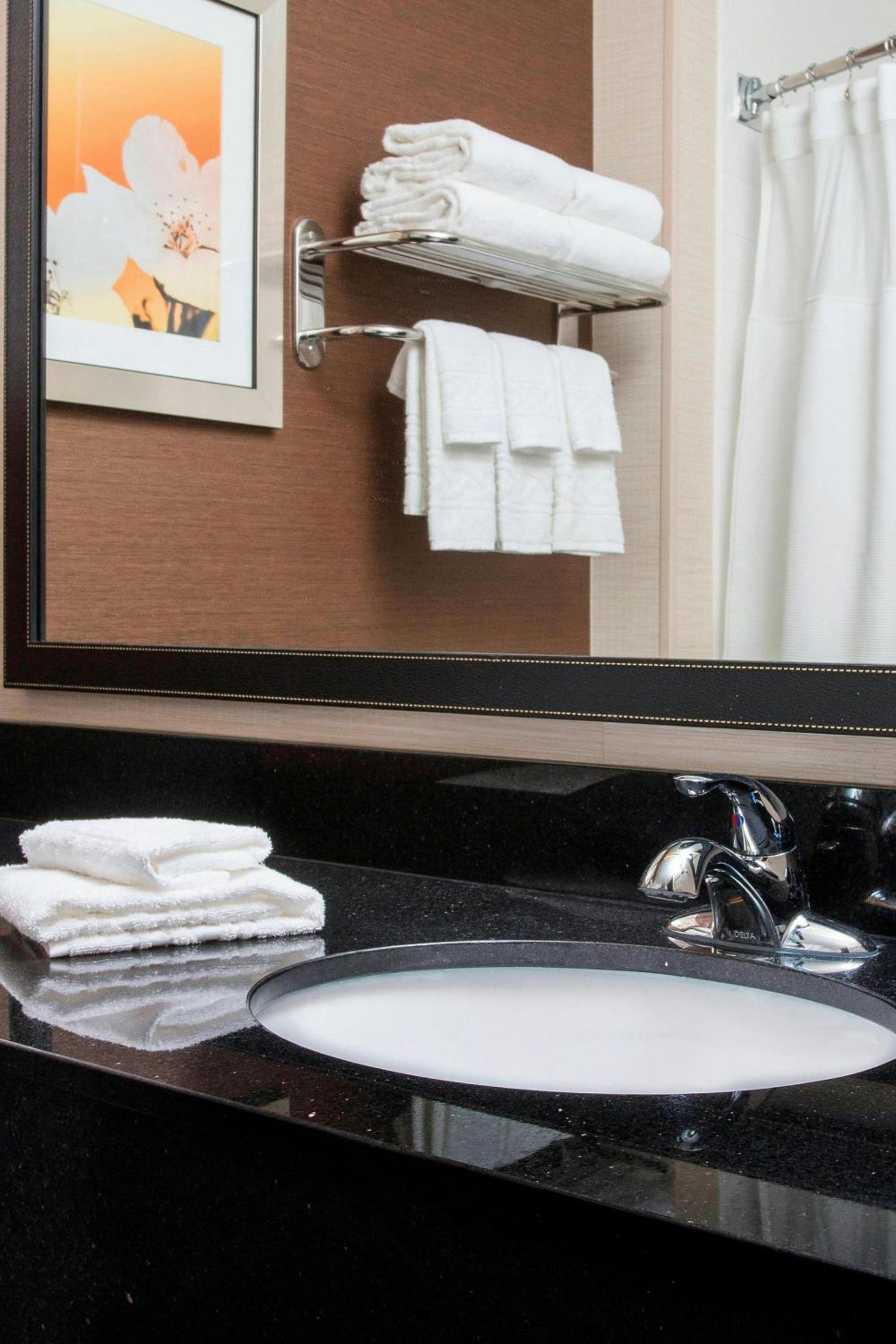 King Suite with Sofa Bed
