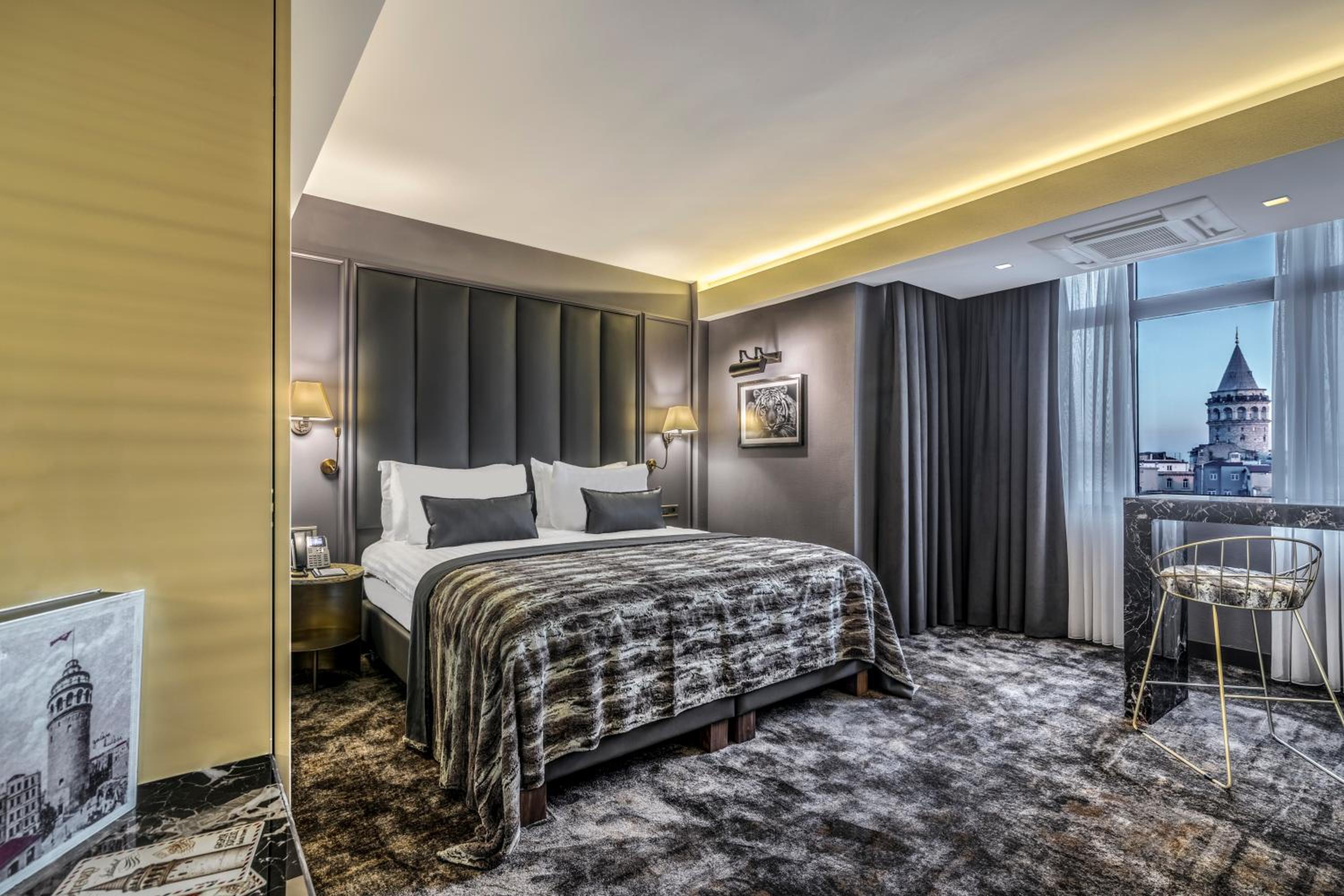 Deluxe King Suite photo 1