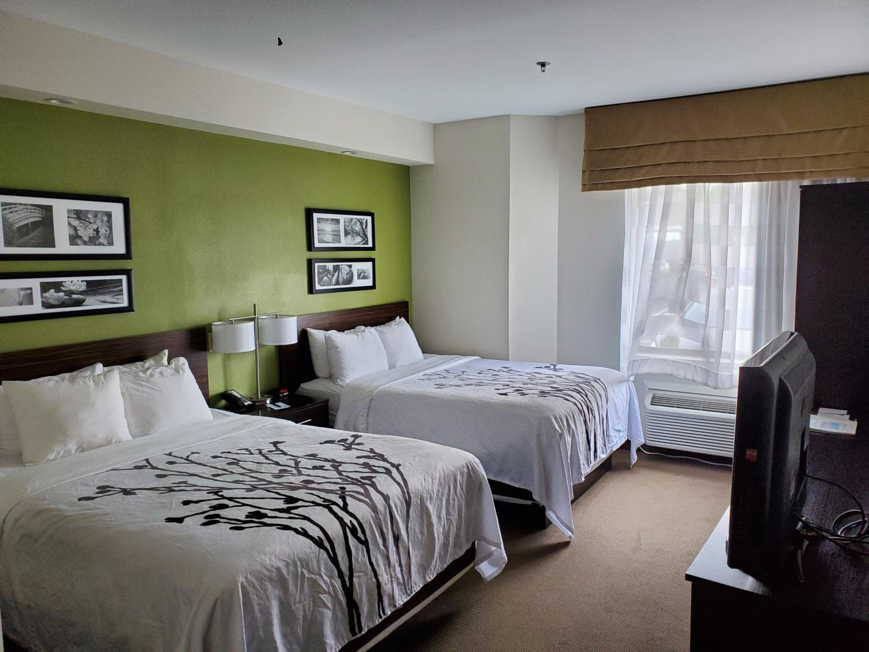 Standard Queen Room with Two Queen Beds - Non-Smoking - Photo 2