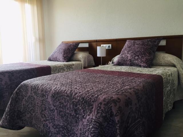 Double Room or Twin Room photo 2