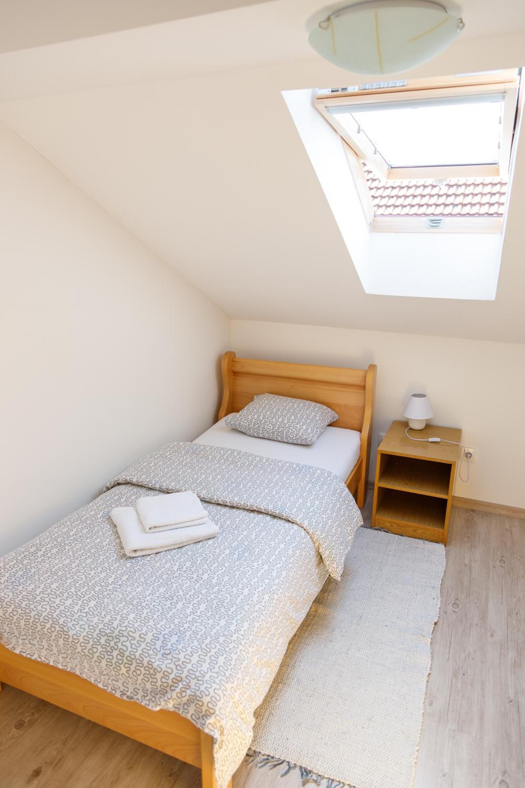 Single Room photo 1