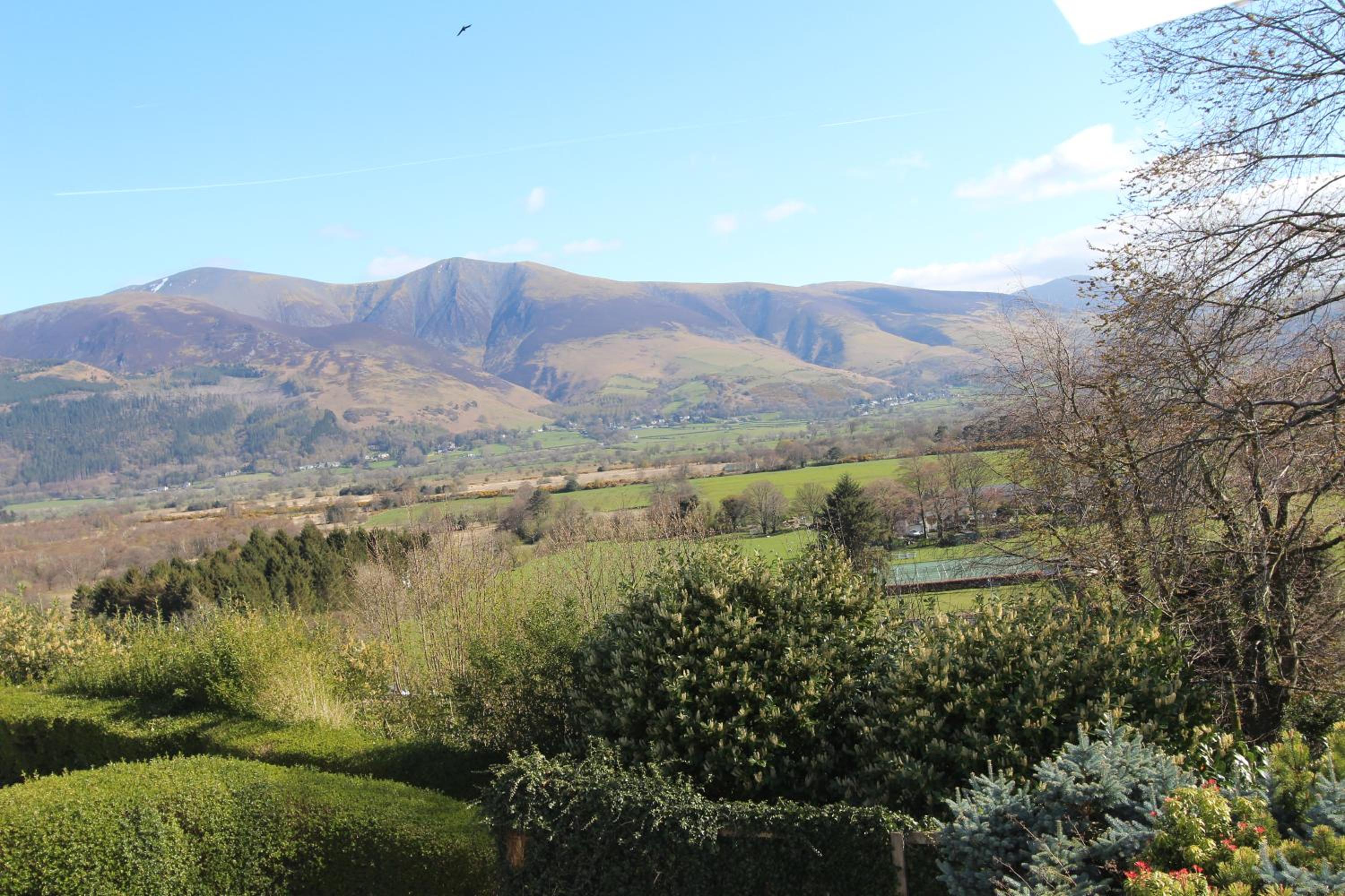 Cozy Double Room with Mountain View photo 3