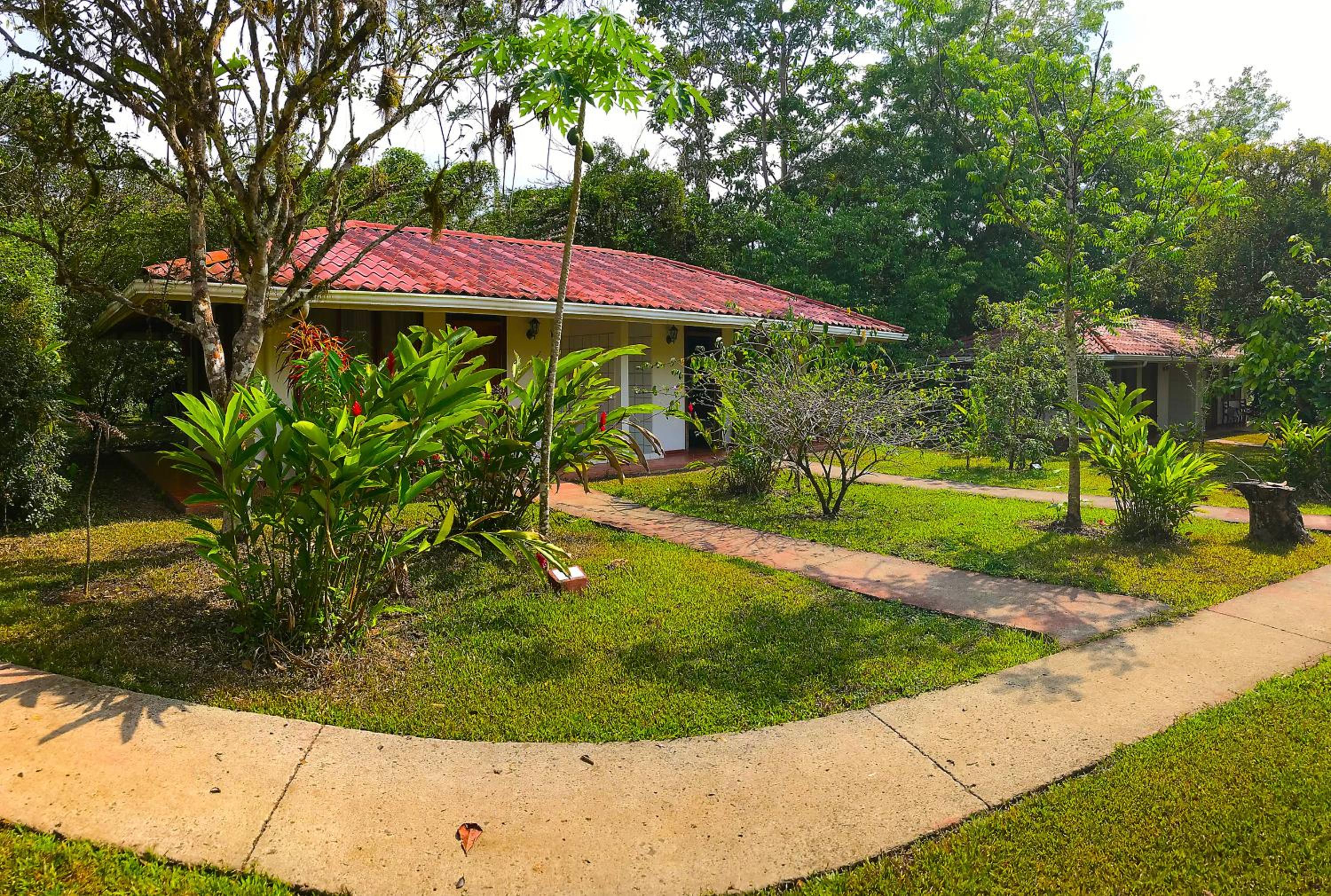 Double or Twin Room with Garden View