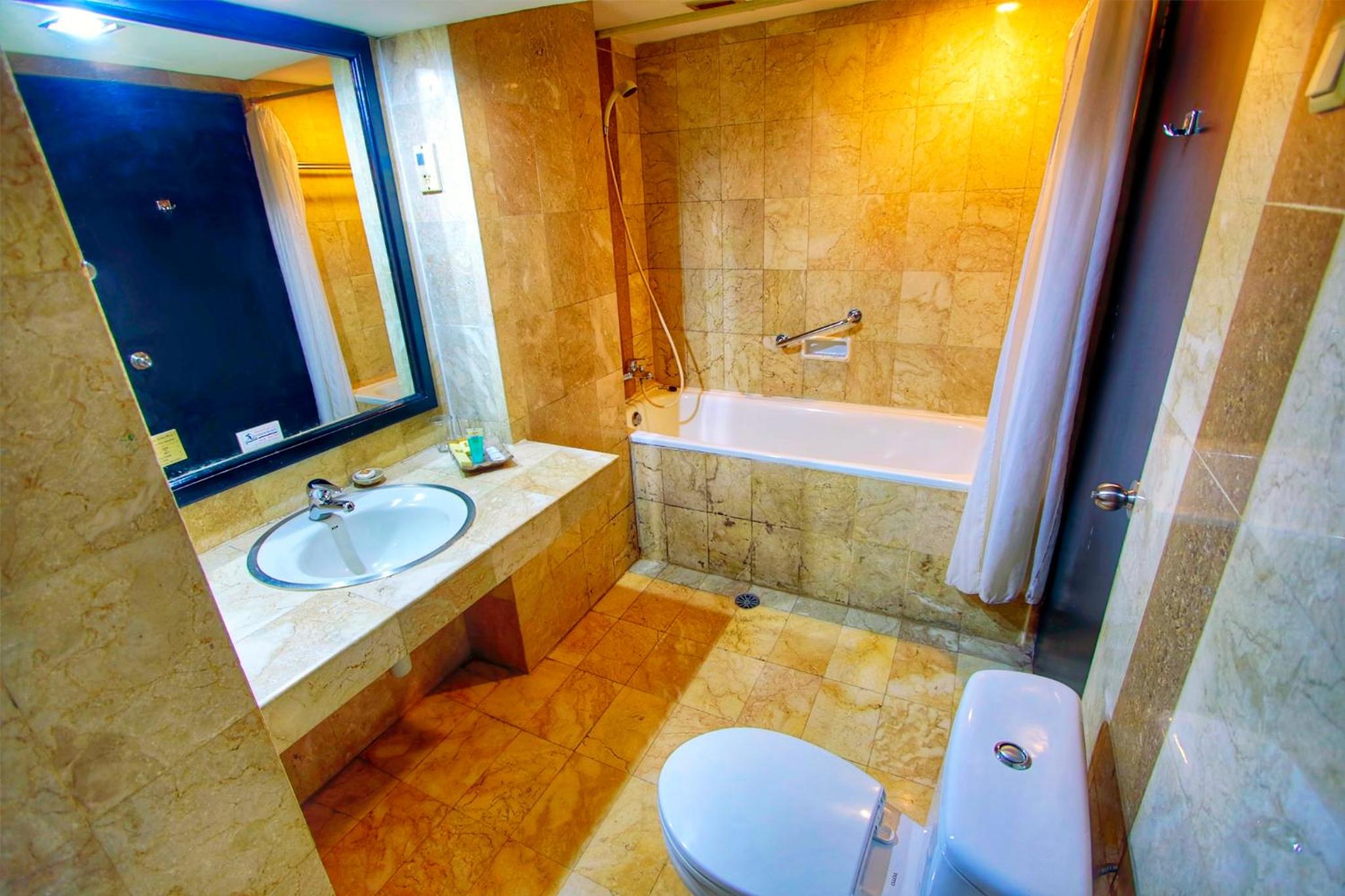 Deluxe Double or Twin Room - Photo 3