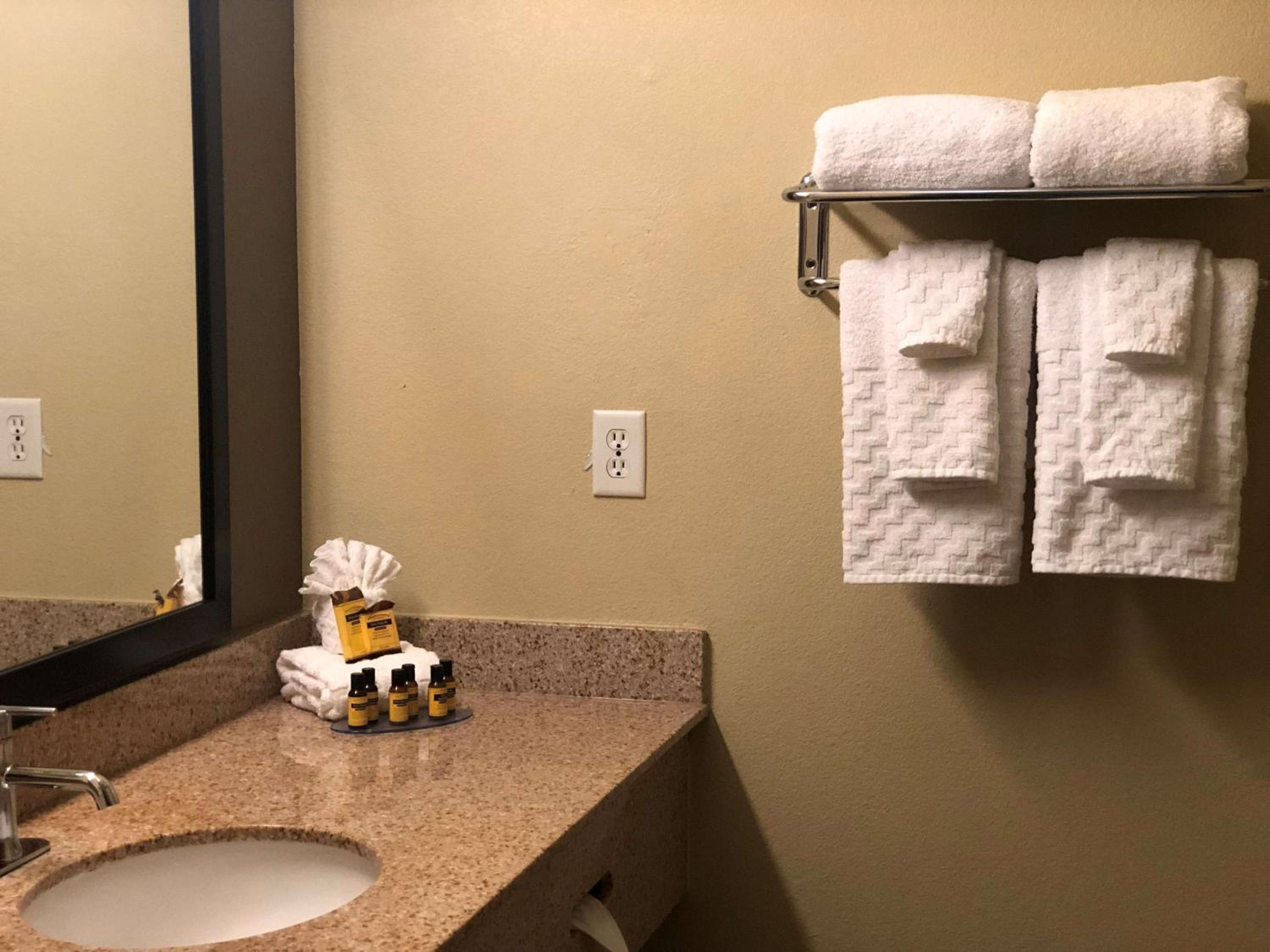 Deluxe King Suite - Non Smoking - Photo 2