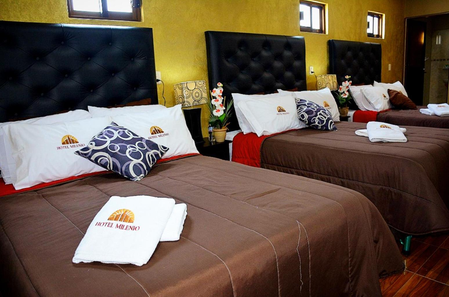 Triple Room photo 3