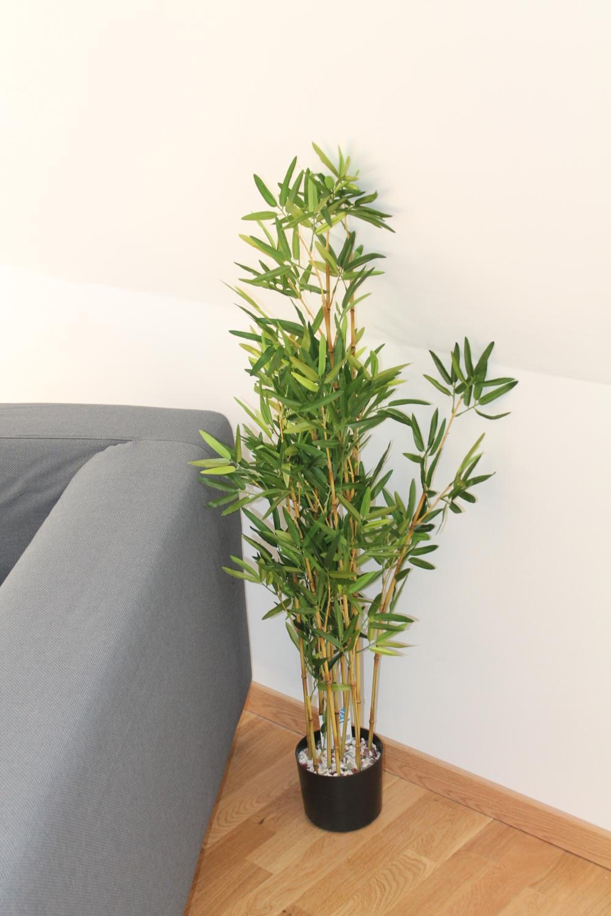 One-Bedroom Apartment - Photo 8
