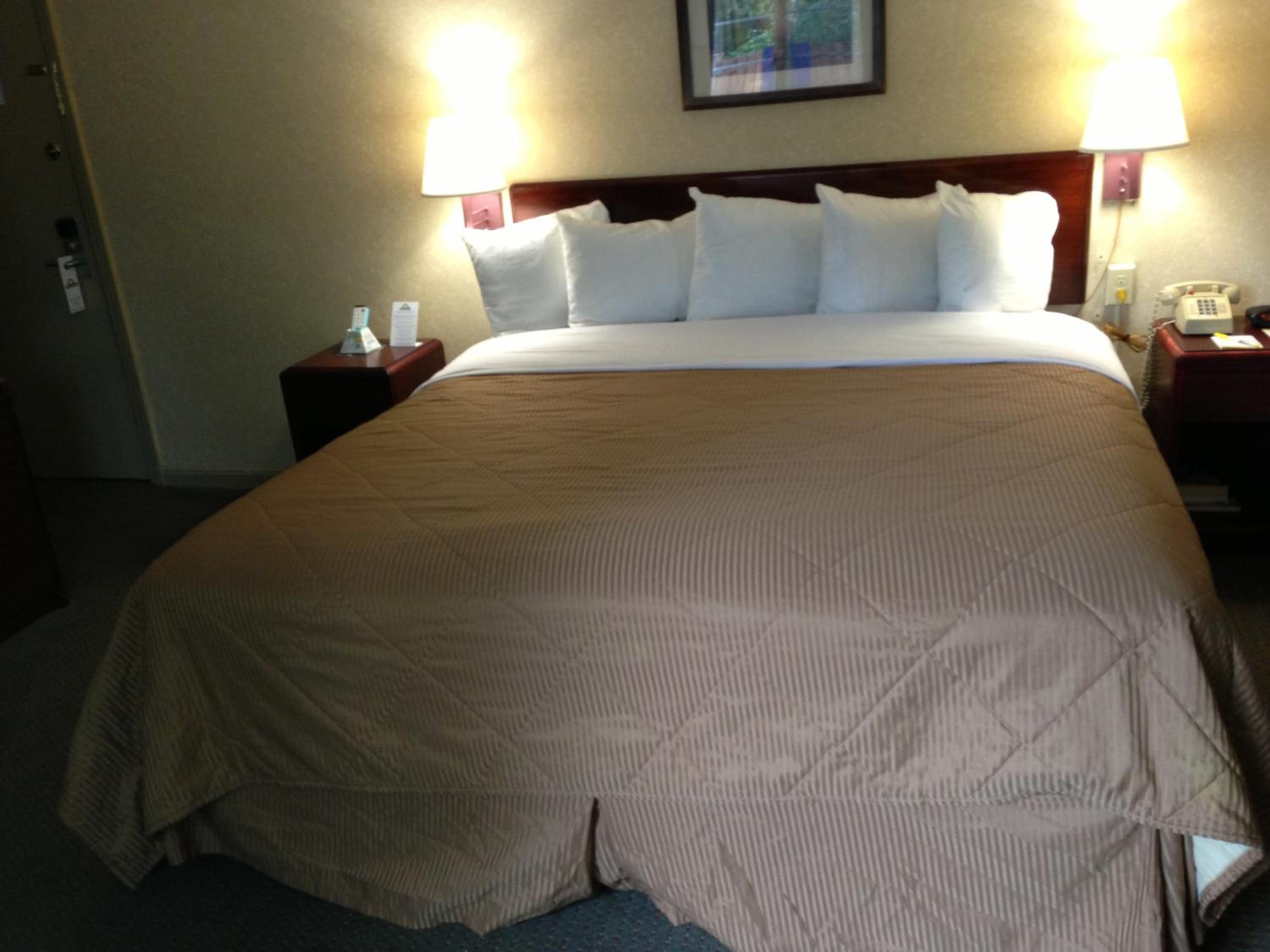 King Room - Non-Smoking - Photo 2