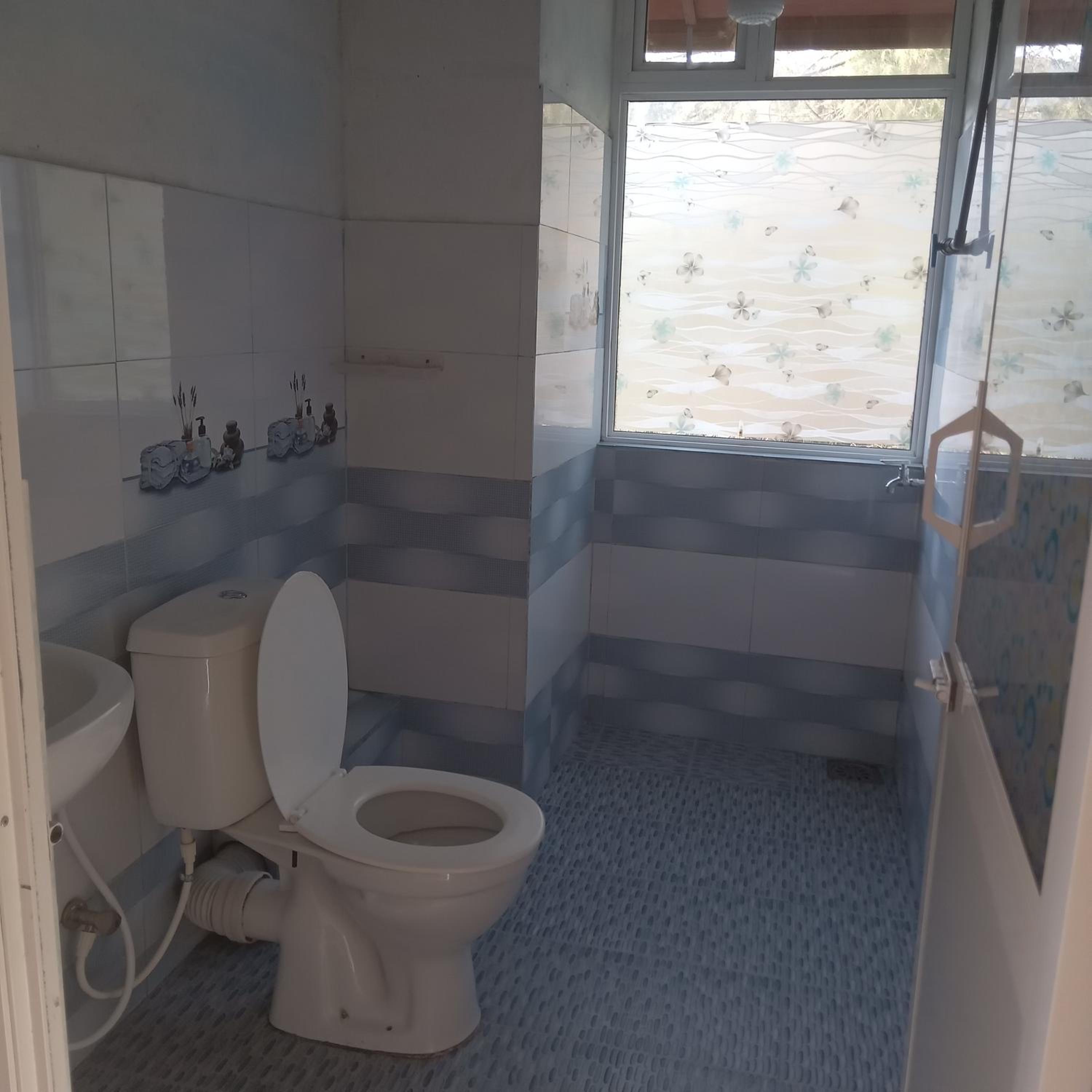 Deluxe Double or Twin Room with Mountain View