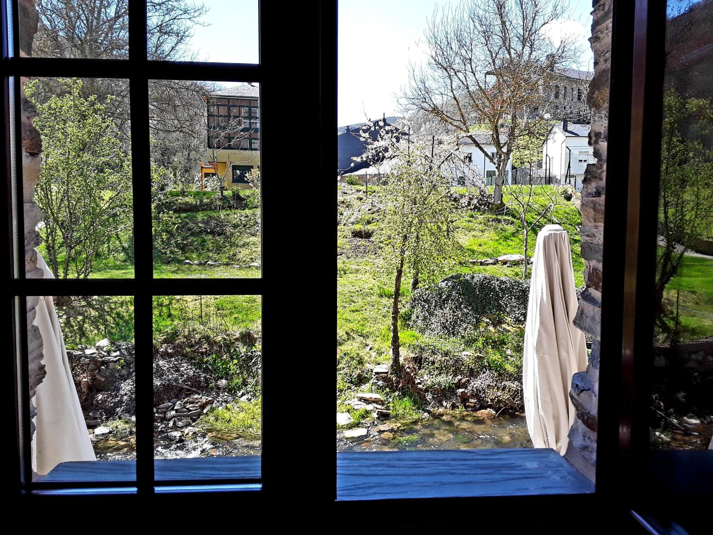 Single Room with Lake View photo 2