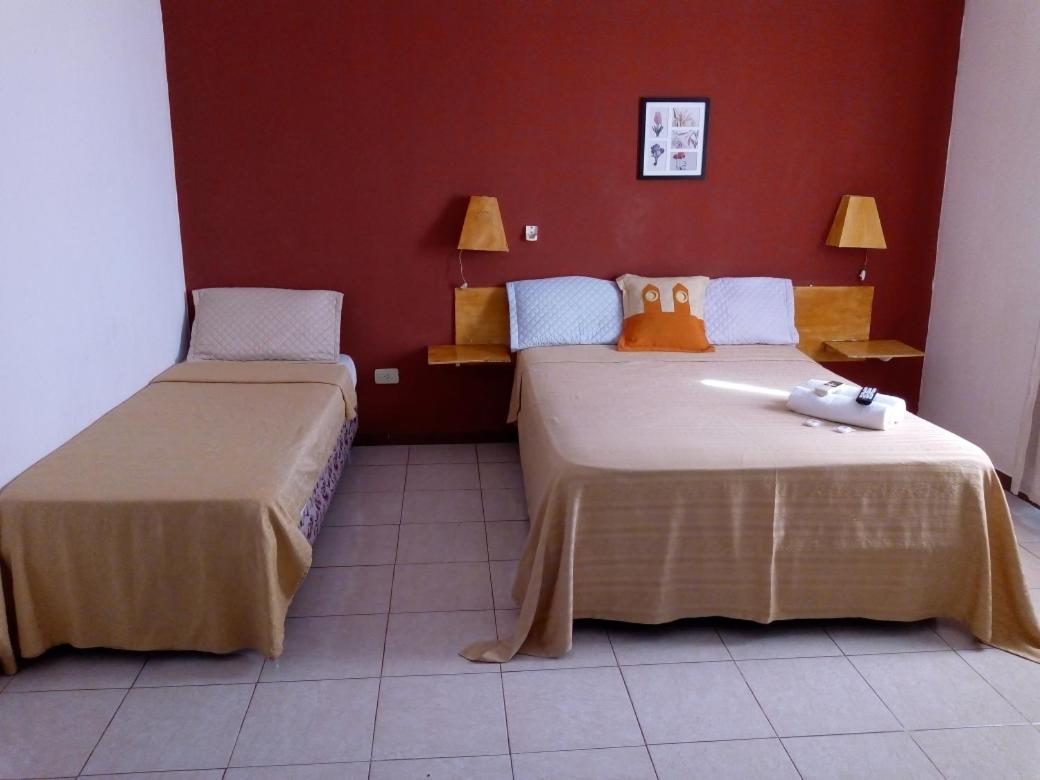 Triple Room photo 3