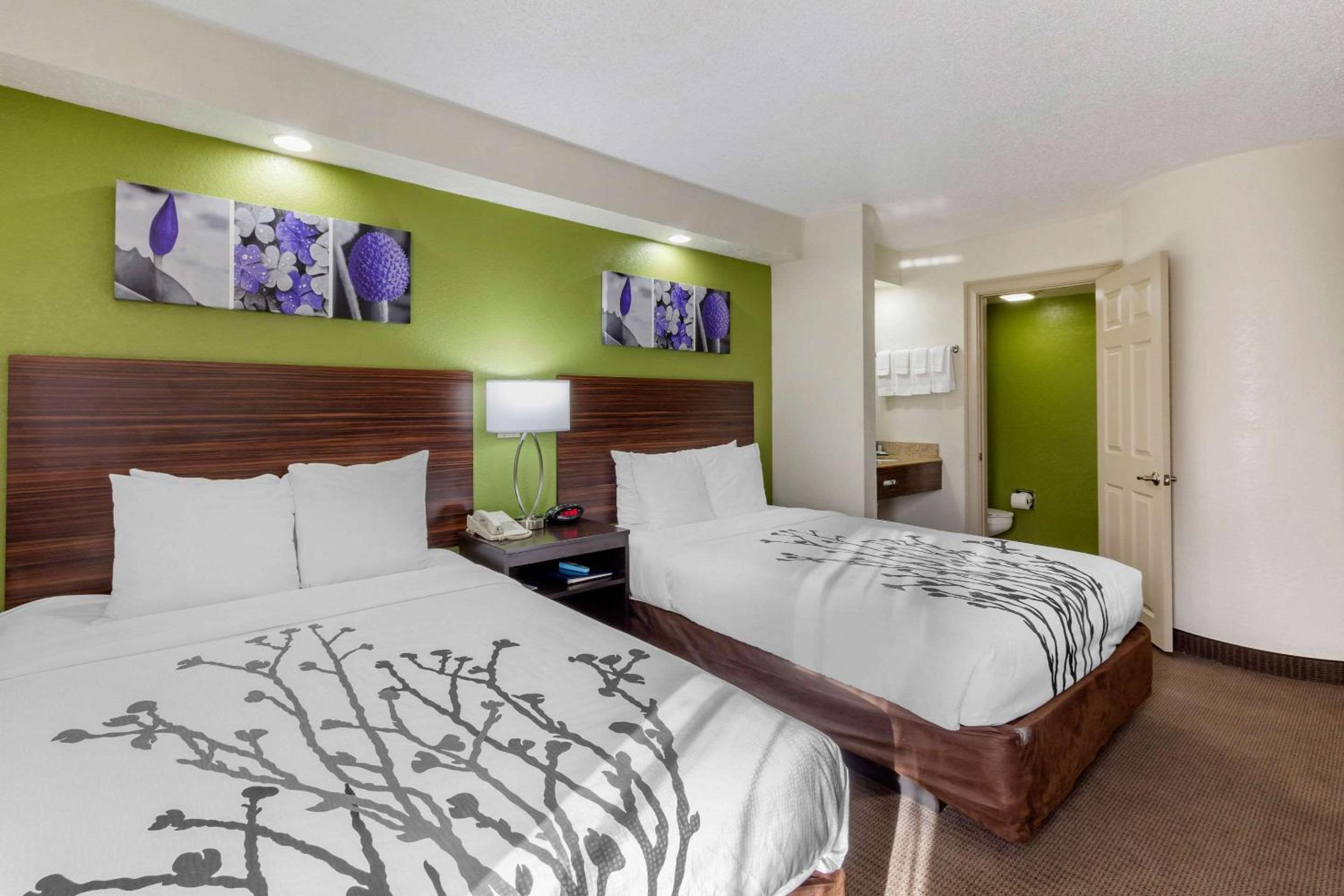 Double Room with Roll-In Shower - Accessible/Non-Smoking - Photo 1