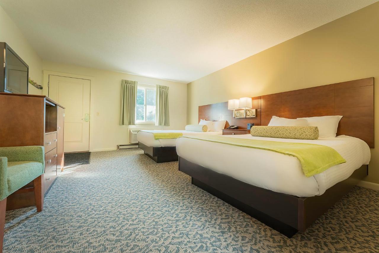 Superior room, 2 queen beds, patio