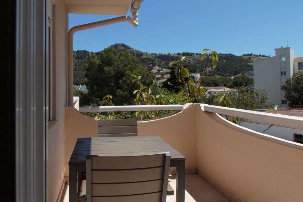 Apartment with Terrace photo 2