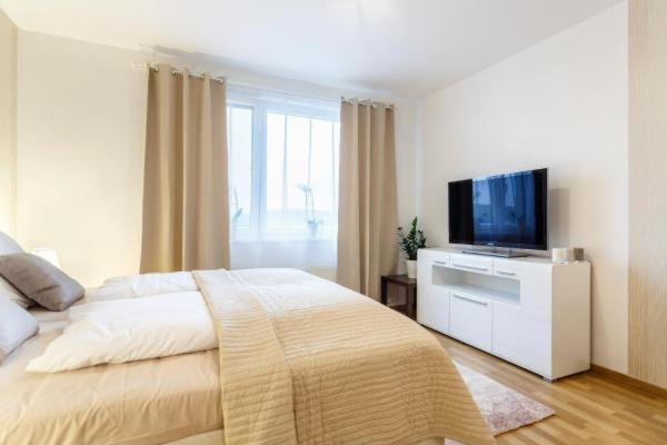 Apartment - Photo 19