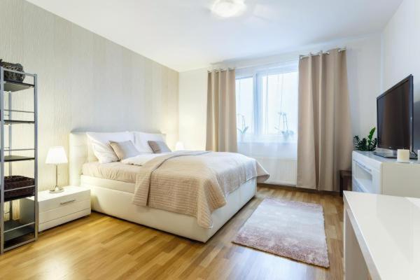 Apartment - Photo 23