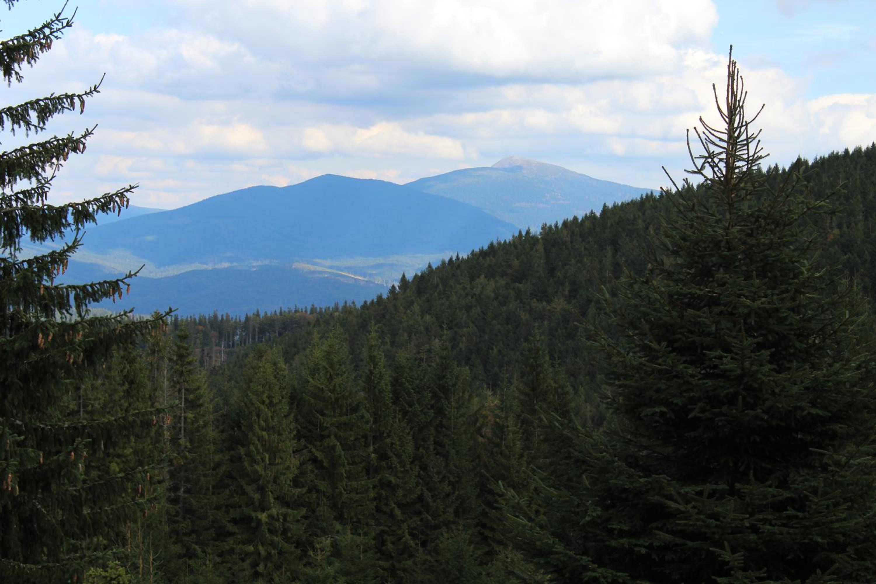 Apartment with Mountain View photo 2