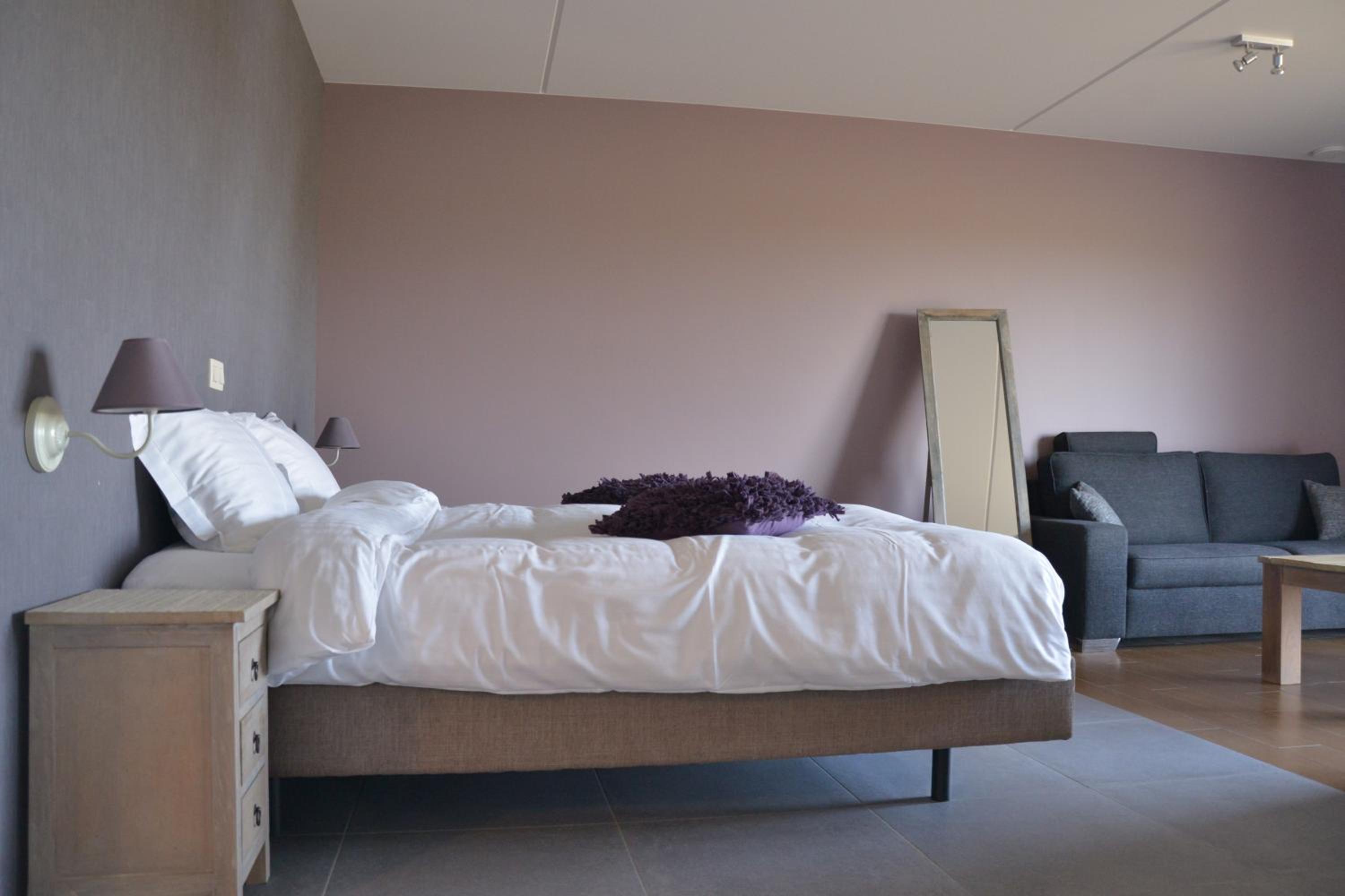 Deluxe Double Room photo 3