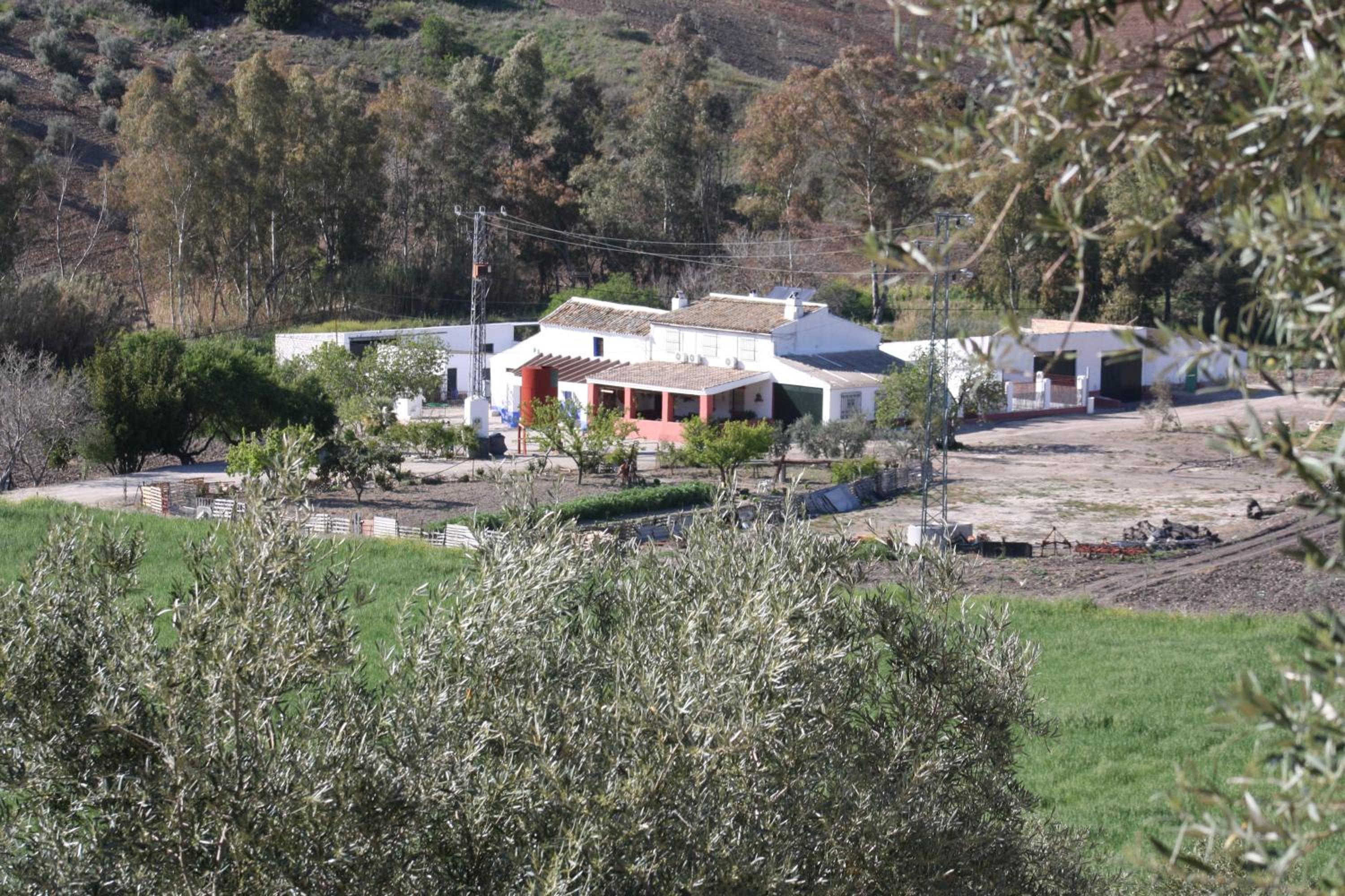 Seven-Bedroom House - Photo 32