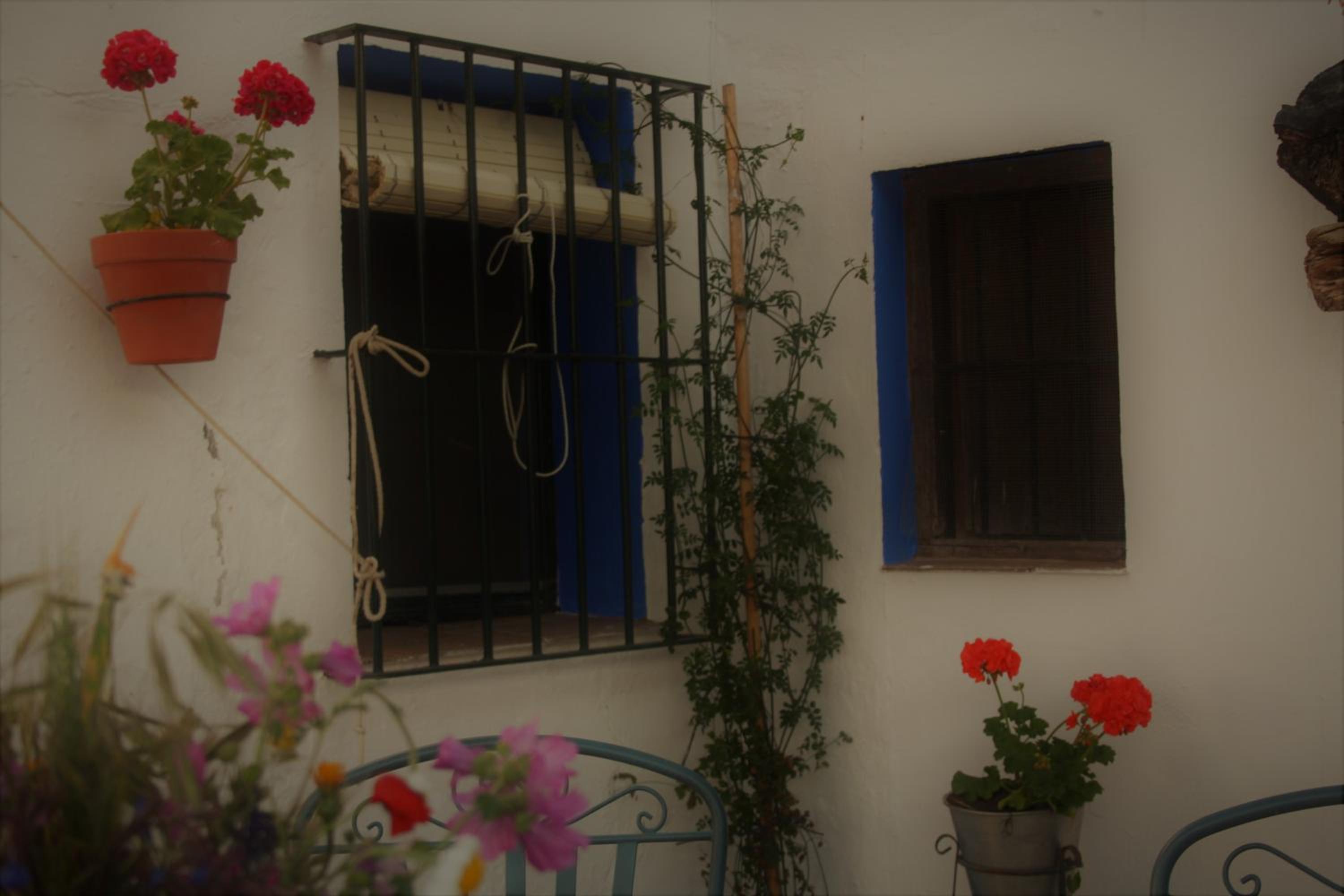 Seven-Bedroom House - Photo 19