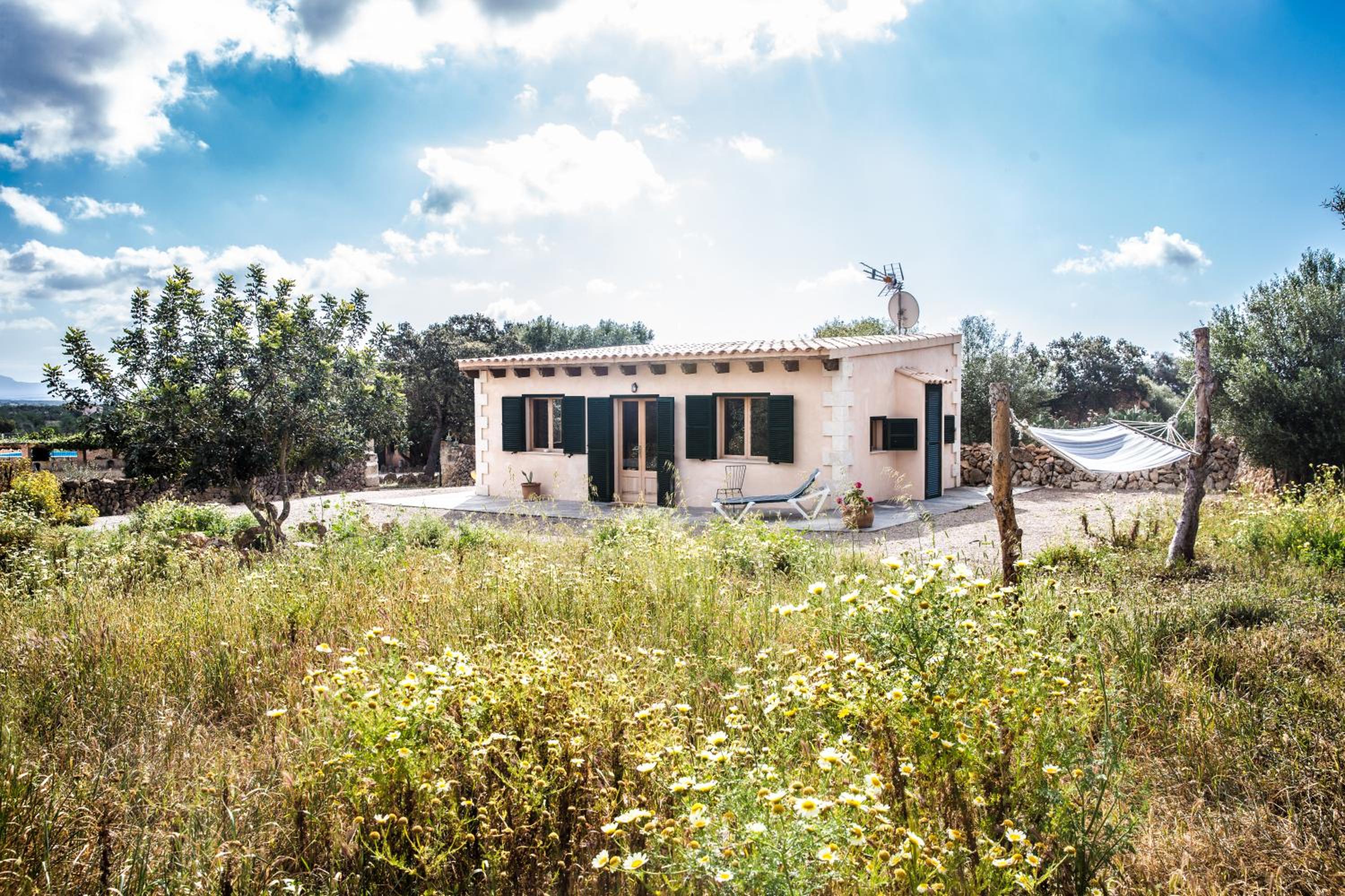 Bungalow with Terrace - Photo 4