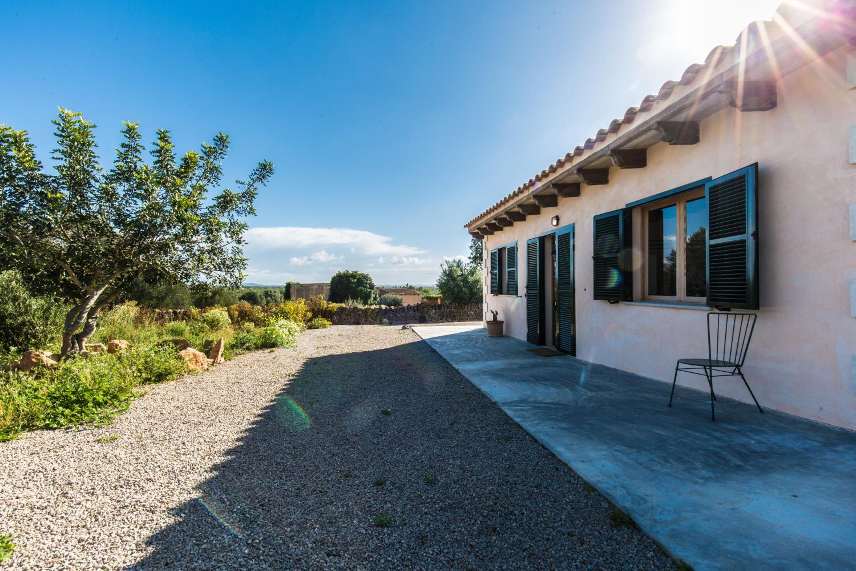 Bungalow with Terrace - Photo 11