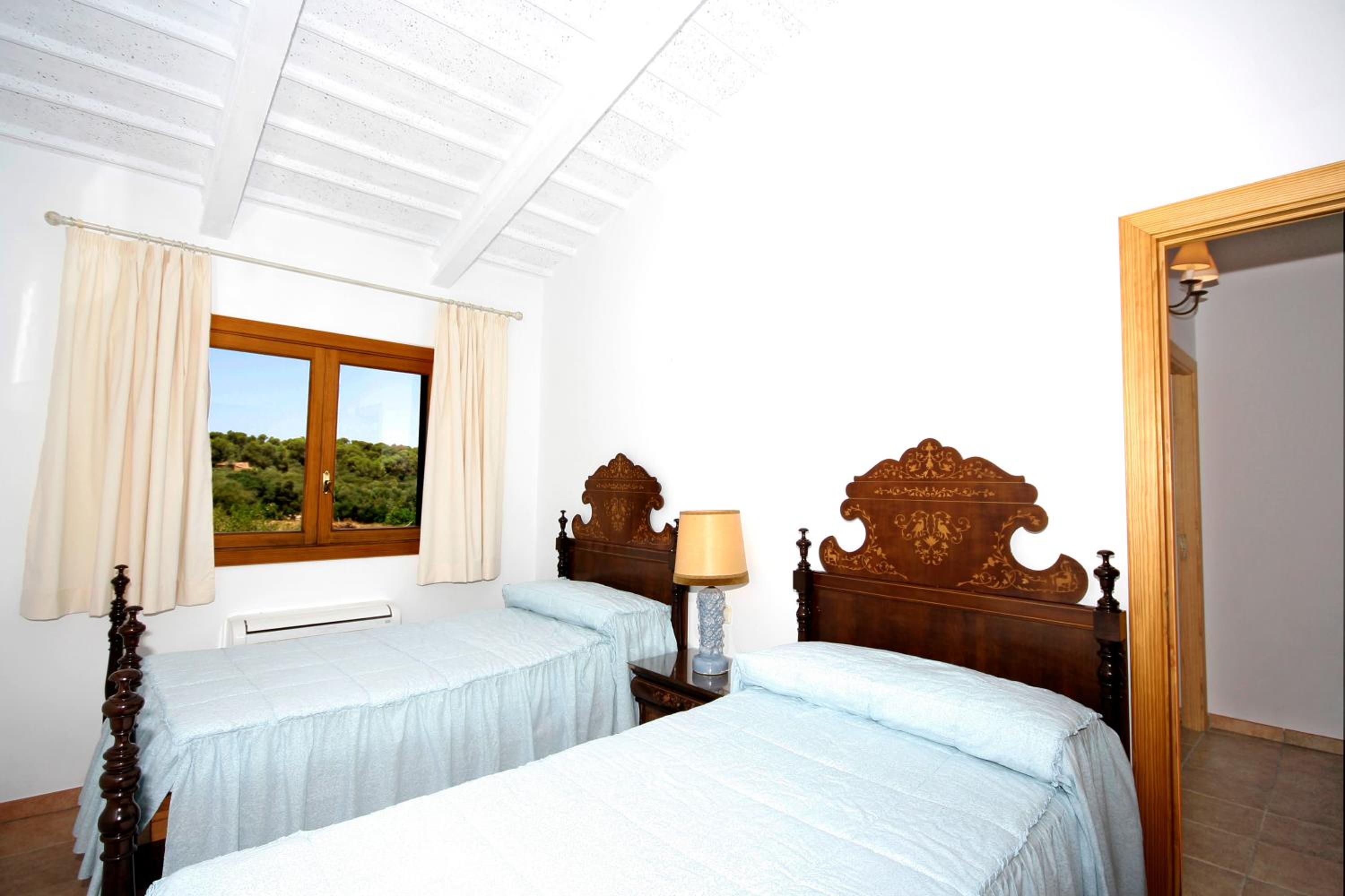 Apartment with Terrace photo 2