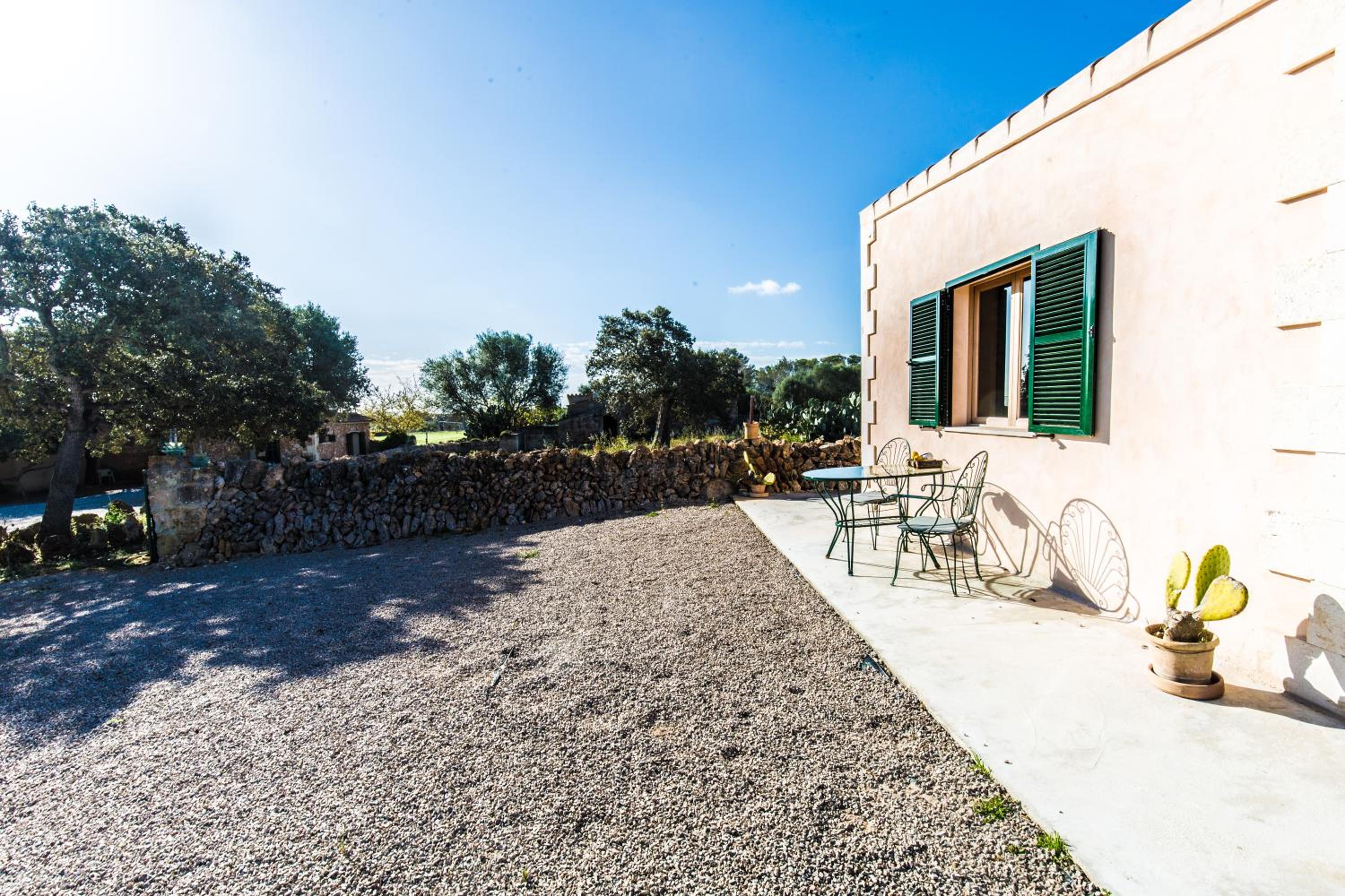 Bungalow with Terrace - Photo 12