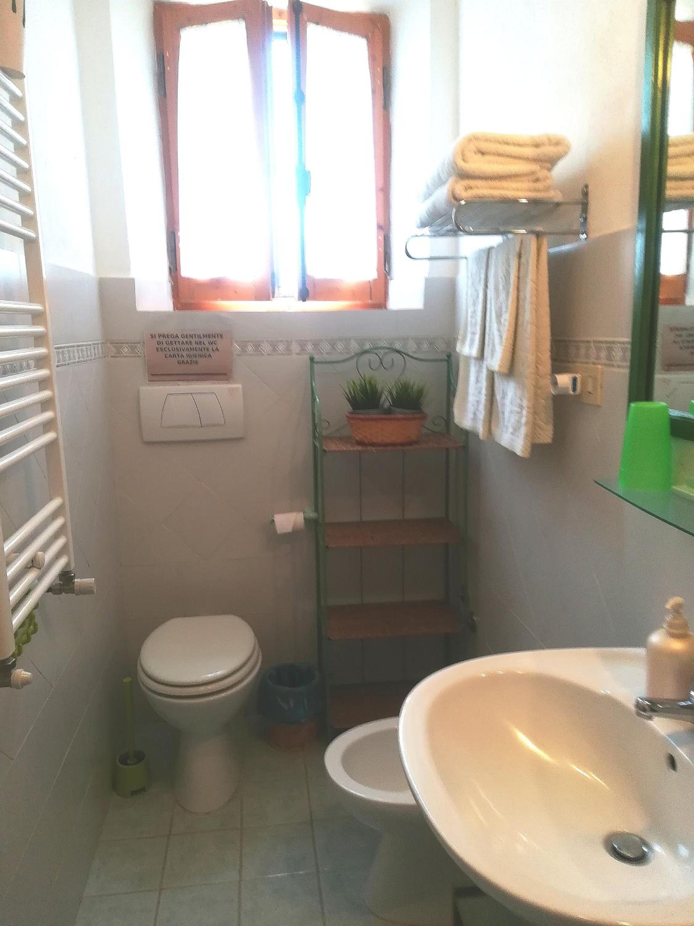 Studio with Terrace photo 3