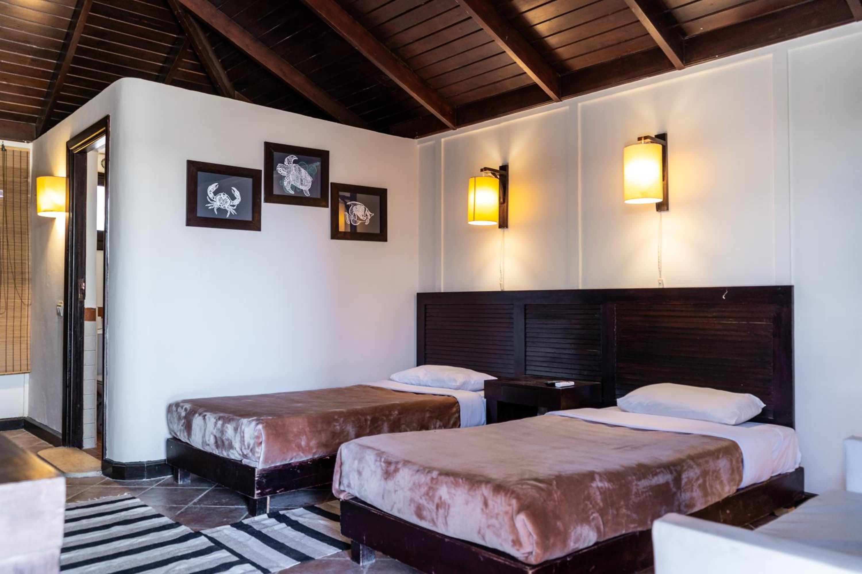 Double Room with Terrace photo 2