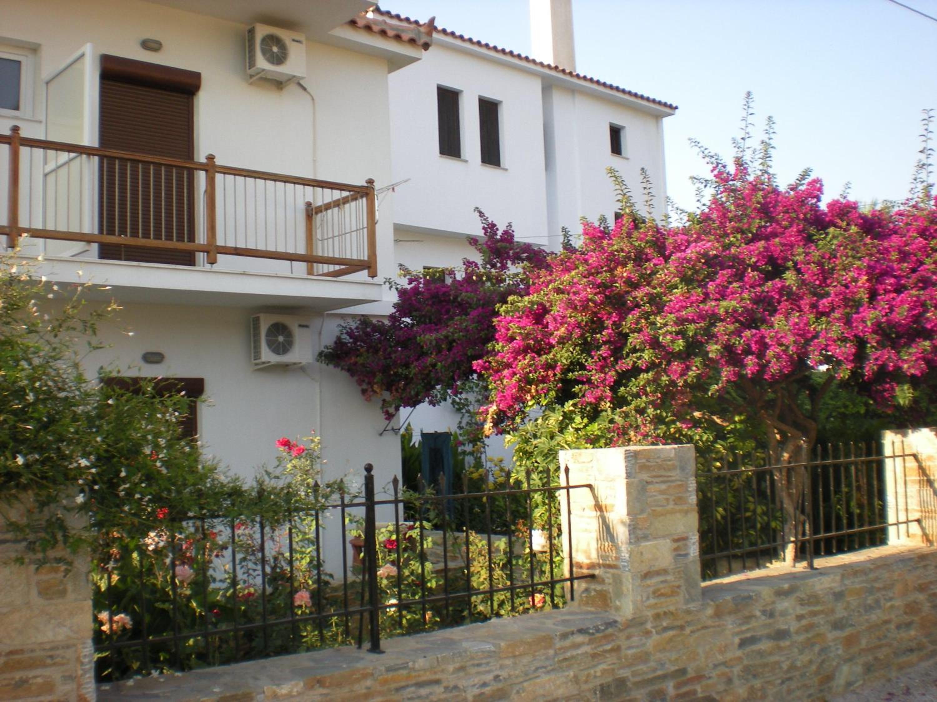 Studio with Garden View photo 3