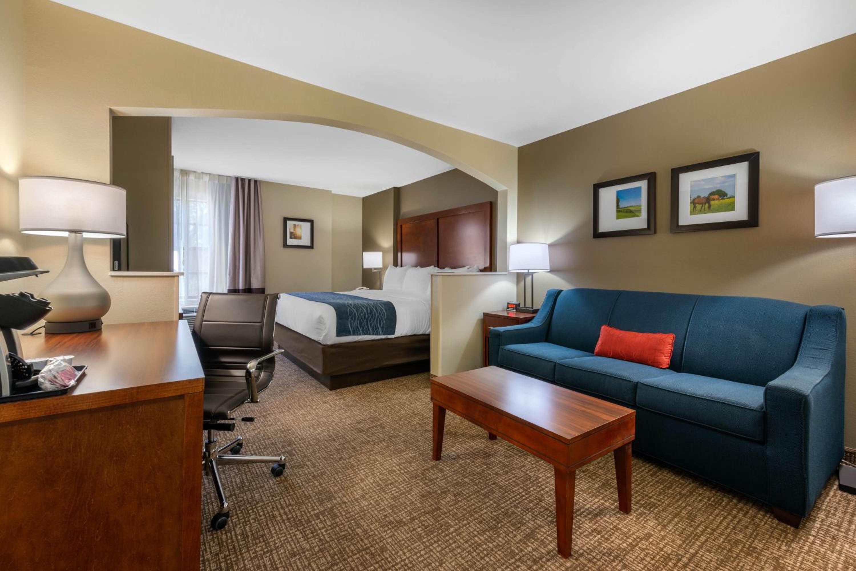King Room with Sofa Bed - Non-Smoking - Photo 11