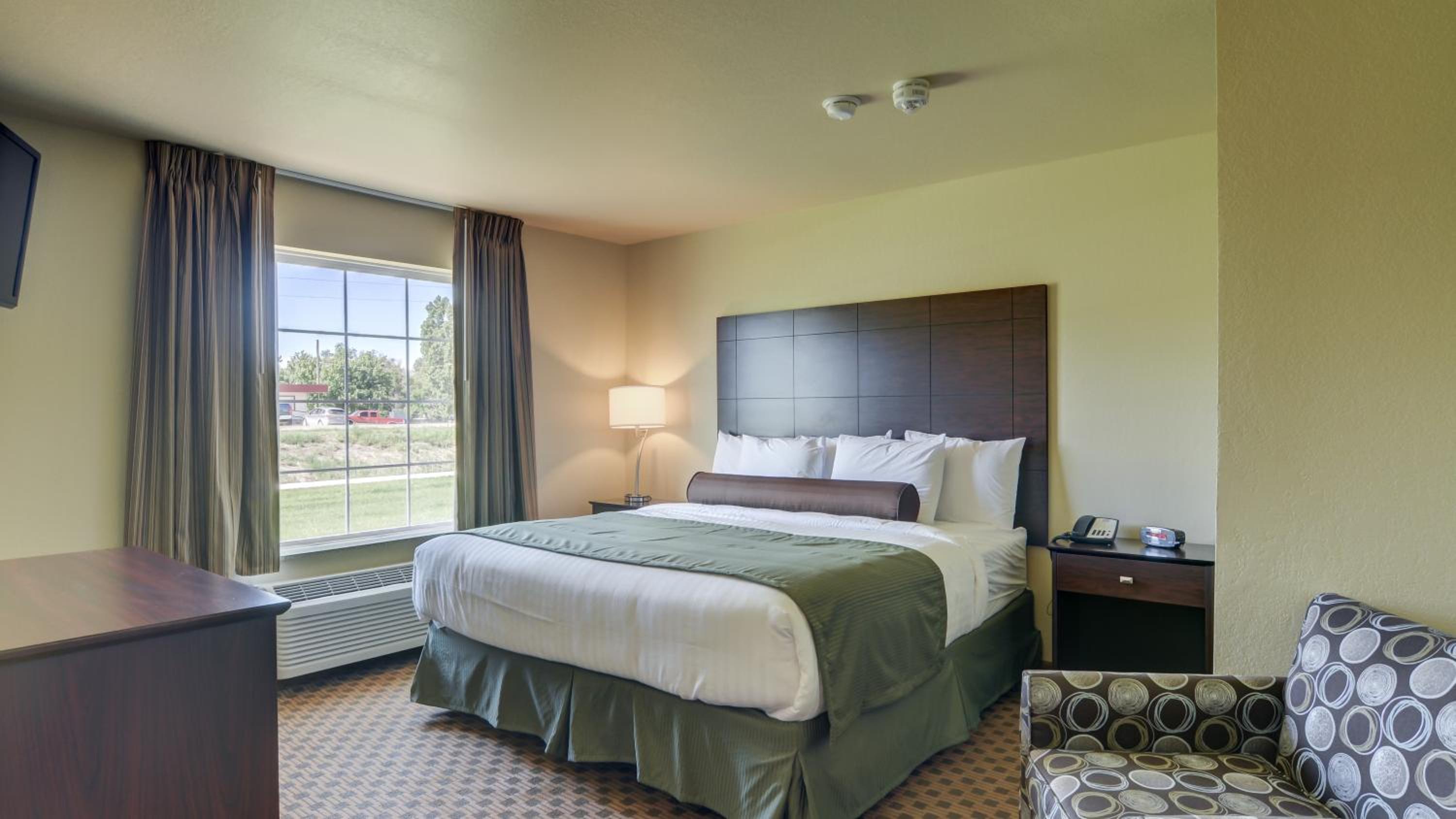 One-Bedroom Suite photo 1
