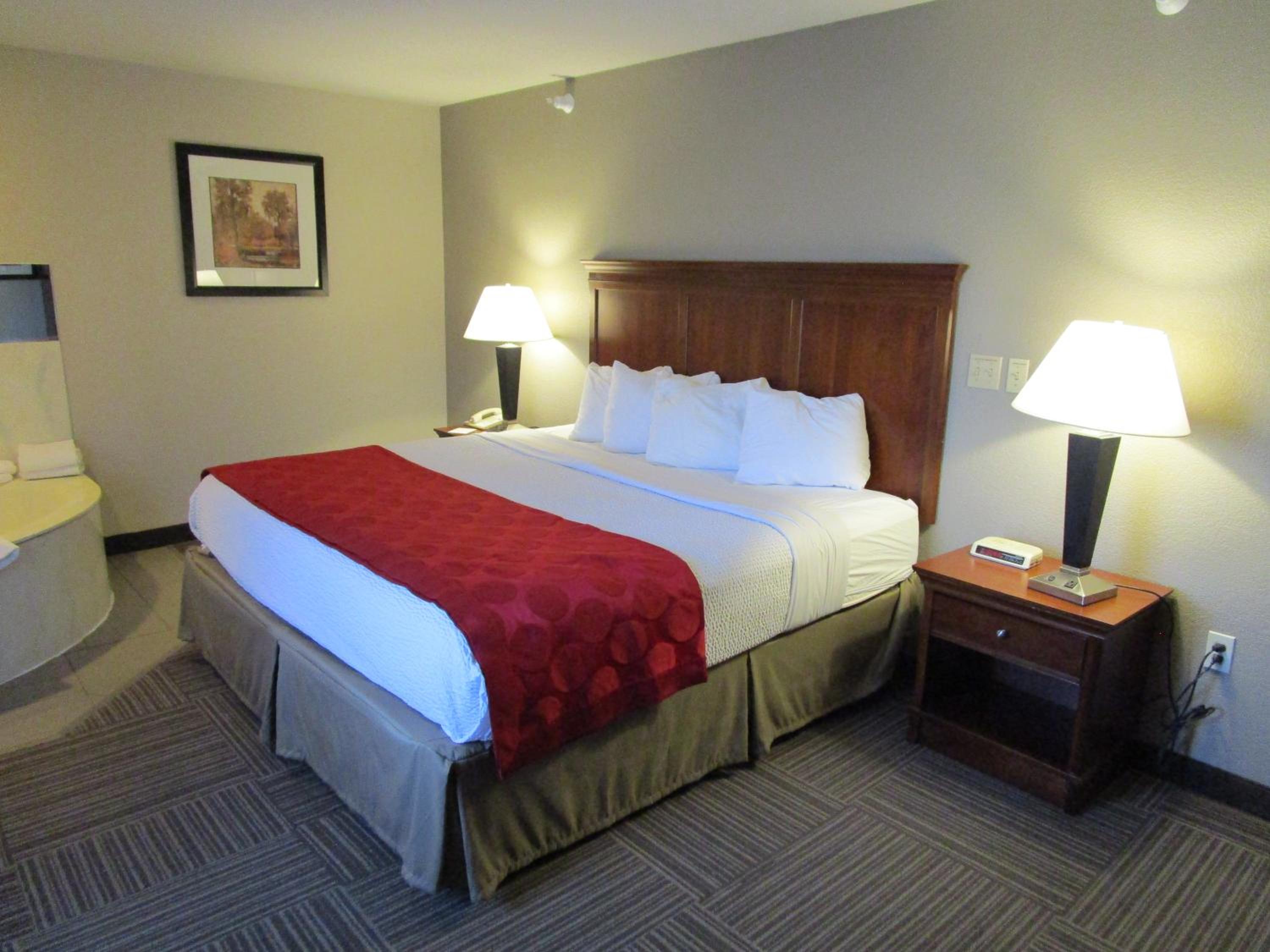 1 King Bed, One-Bedroom Suite, Non-Smoking - Photo 5