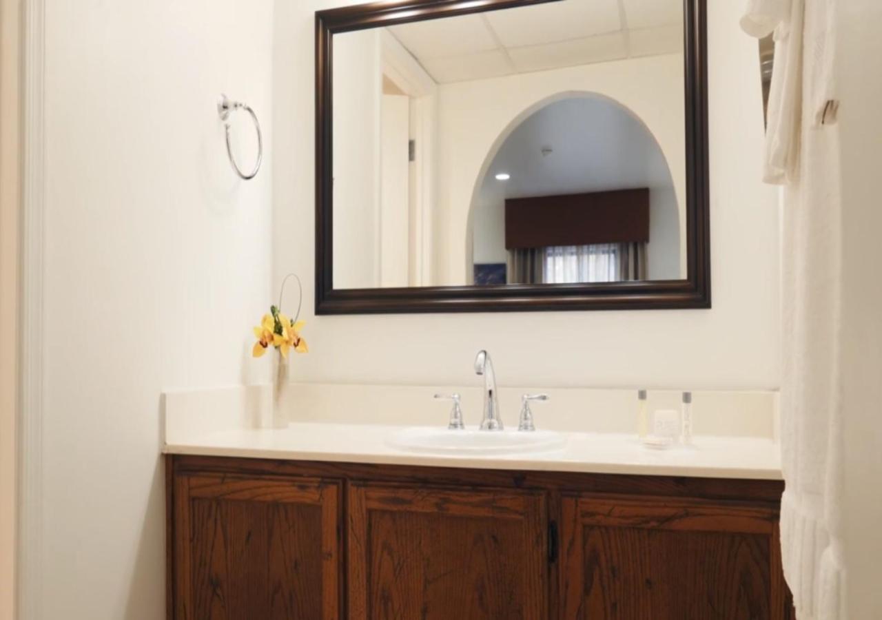 One-Bedroom Suite - Photo 7