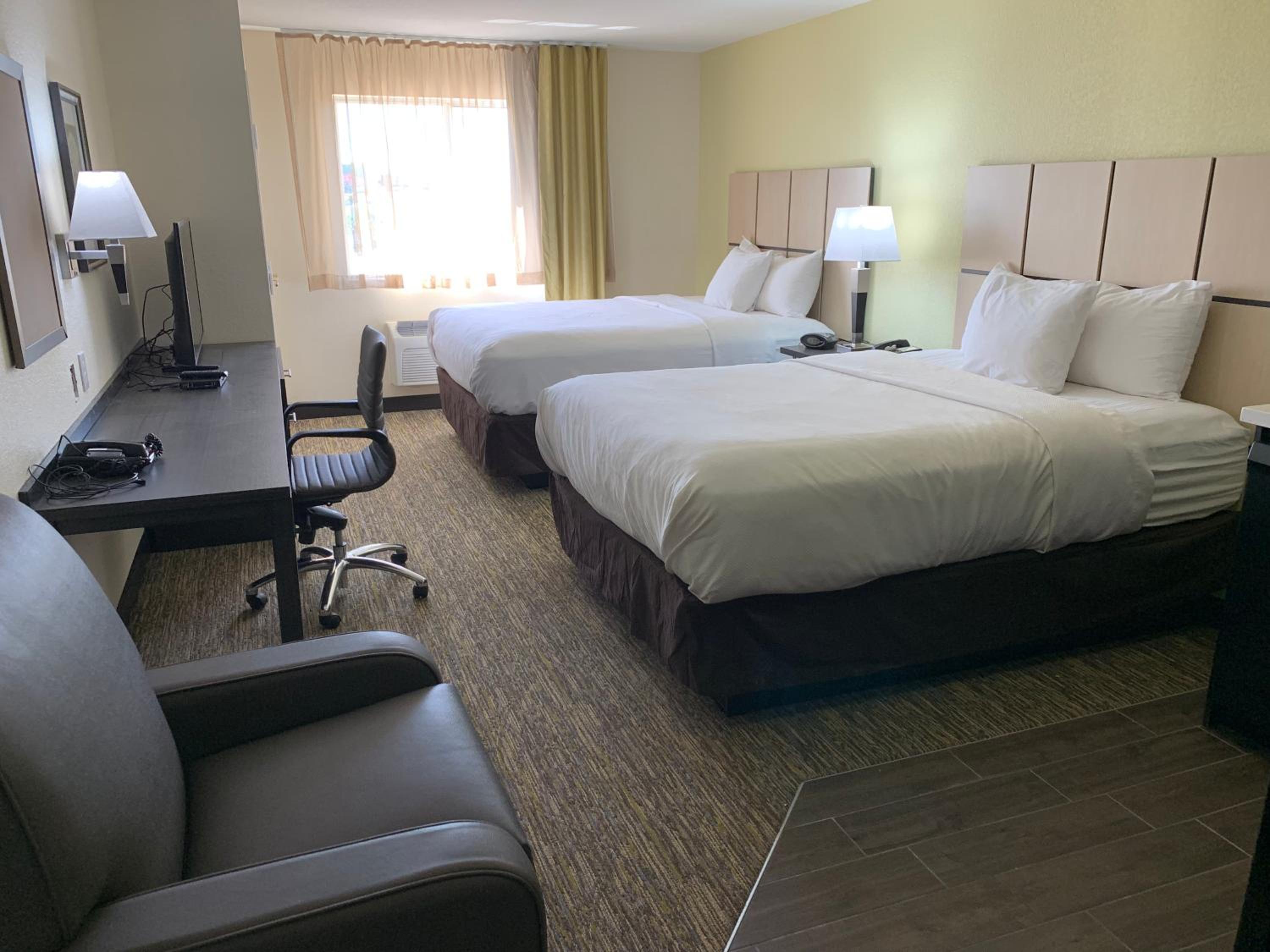 Studio Suite with Two Queen Beds - Photo 1