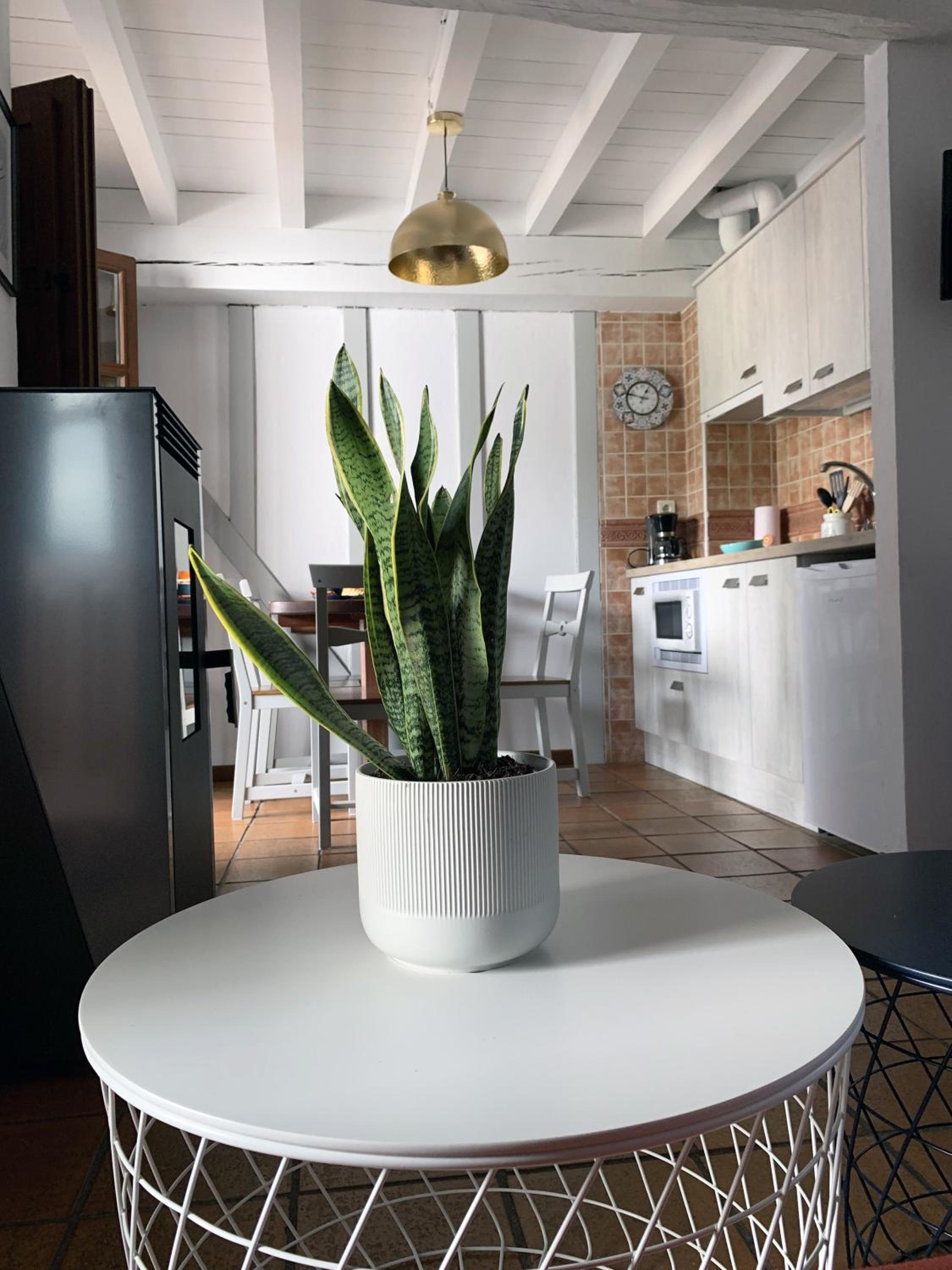 Duplex Apartment photo 3