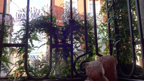 Holiday Home photo 1