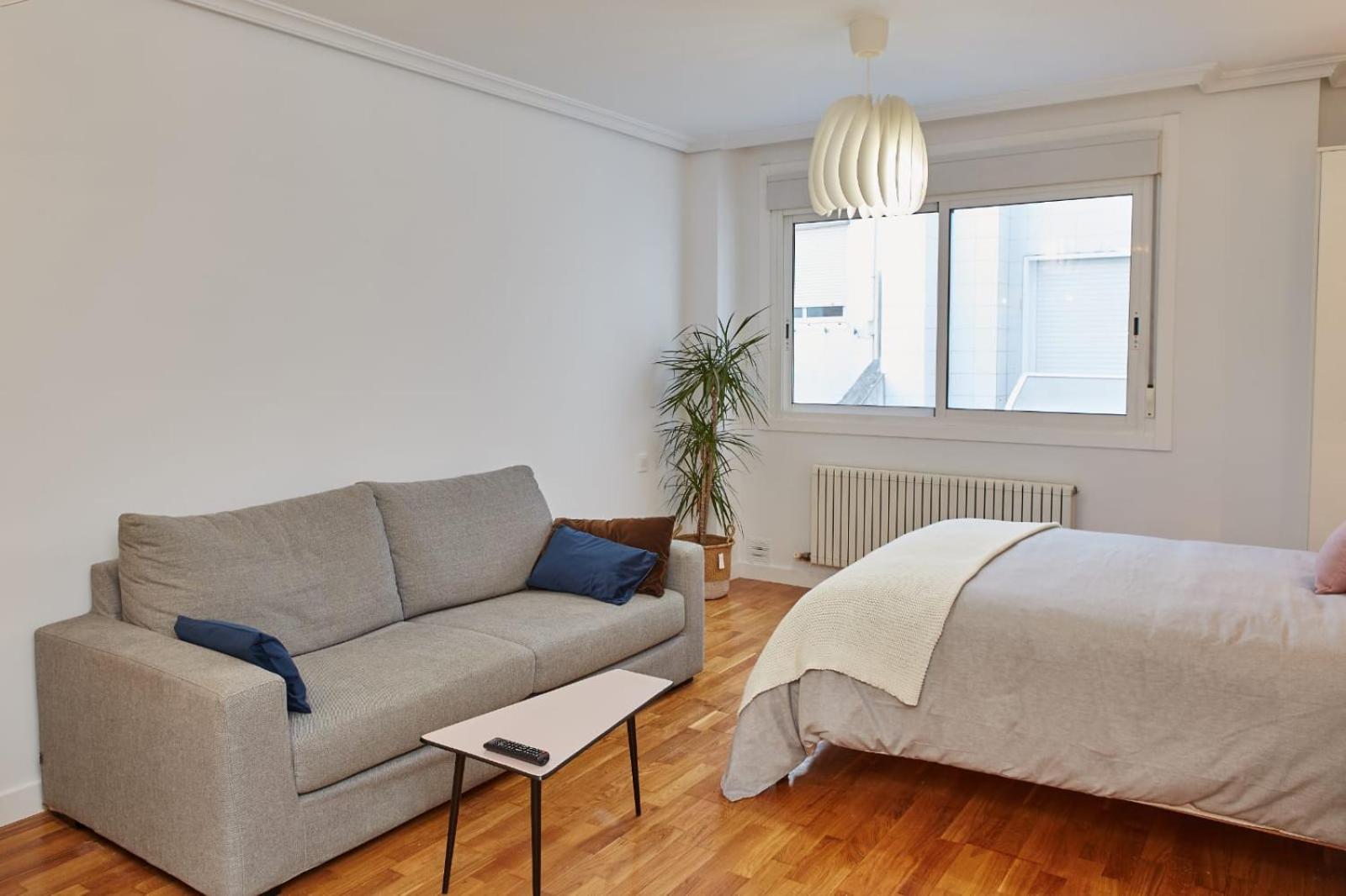 Apartamento de una habitación