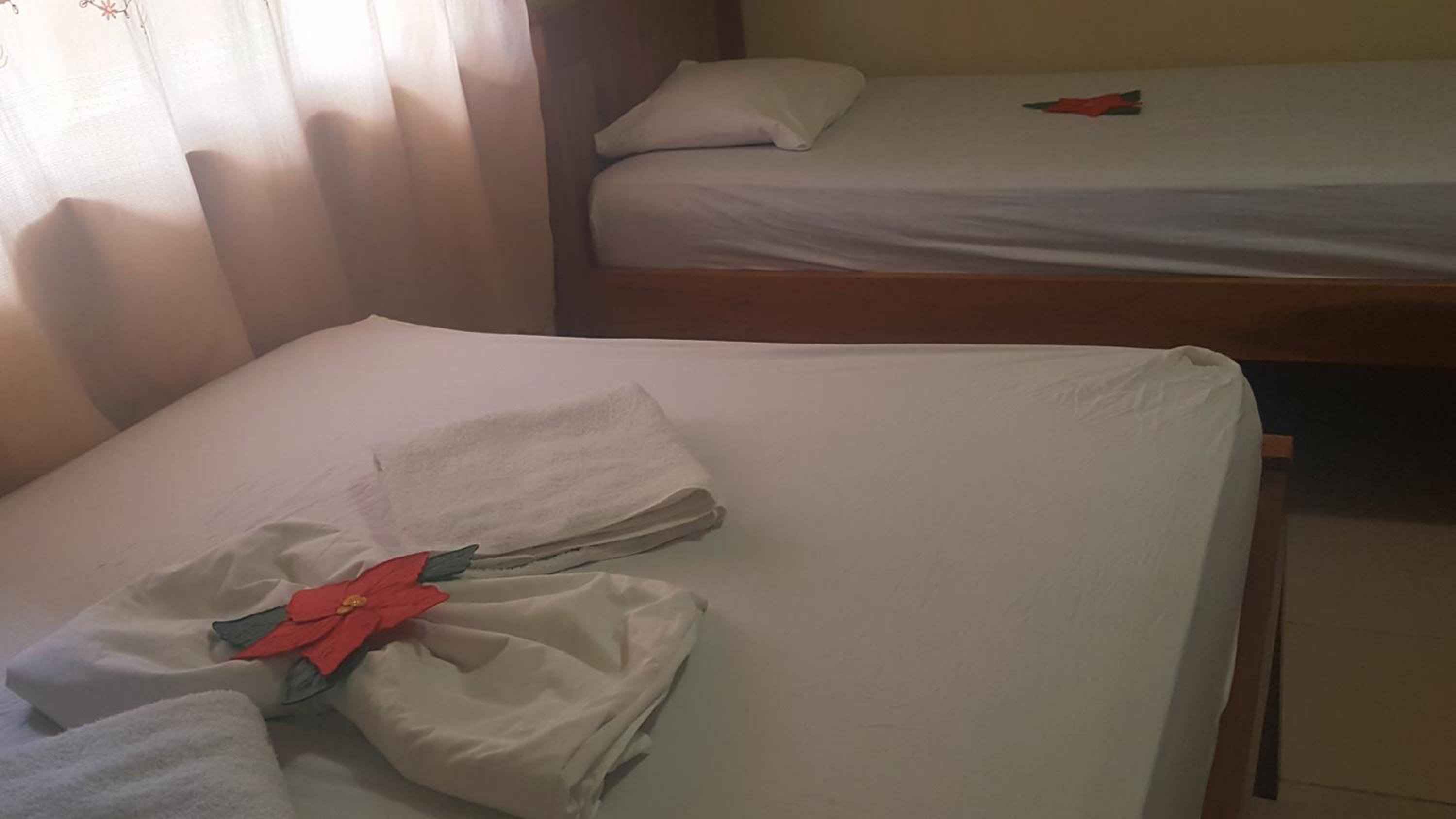 Twin Room photo 2